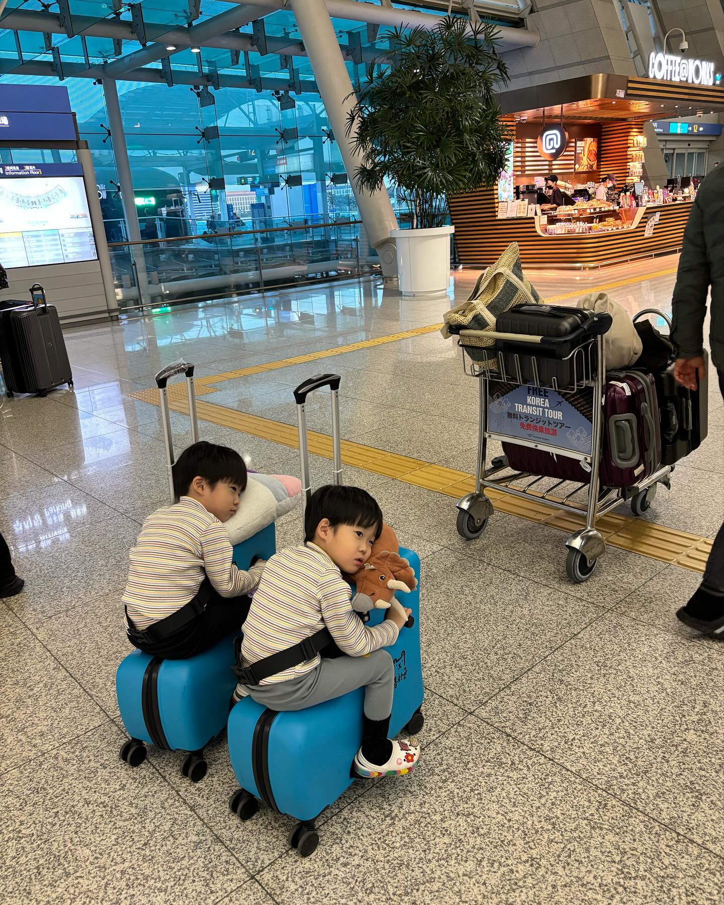둥이들과 전세계여행 3번째 🇵🇭필리핀 보홀 

인천- 제주항공 
11월 11일 빼빼로데이 선물로 100달러와 항공권!!
숙소비는 내가 결제함 ㅋㅋ 
집에서부터 택시- ktx-버스리무진- 비행기
진짜 배빼고 다탐 
1년에 비행기를 4번째 탑승
이젠 뭐 알아서 짐 나르고 의자에 앉아서 안전벨트 하고 자세잡고 승무원 이모야들에게 인사하는 여유로움 
내년엔 6시간 이상으로 가보자 !! 
타는 캐리어때문에 여행이 너무 편함 
유모차도 없이 잘 걸어다니는 둥이들 대단해
사고가 부쩍 많아서 투어와 체험은 다 취소하고 온전히 
모래놀이와 수영만 하기로 🙈
그래도 좋다 가는게 어디야 
세부로 여행계획을 세웠다가 바다는 보홀이라며 
보홀로 돌린게 진짜 신의 한수 👍
키즈존 3군데에서 아주 신나게 놀고 비행기에서 기내식 먹자마자 기절 치맥세트는 최고였다 
우리가족 여행 시작 ✈️✈️

#보홀#가족여행#모래놀이#바다#진짜#최고#그림이다#아빠#최고#👍#인천공항#제주항공#키즈존