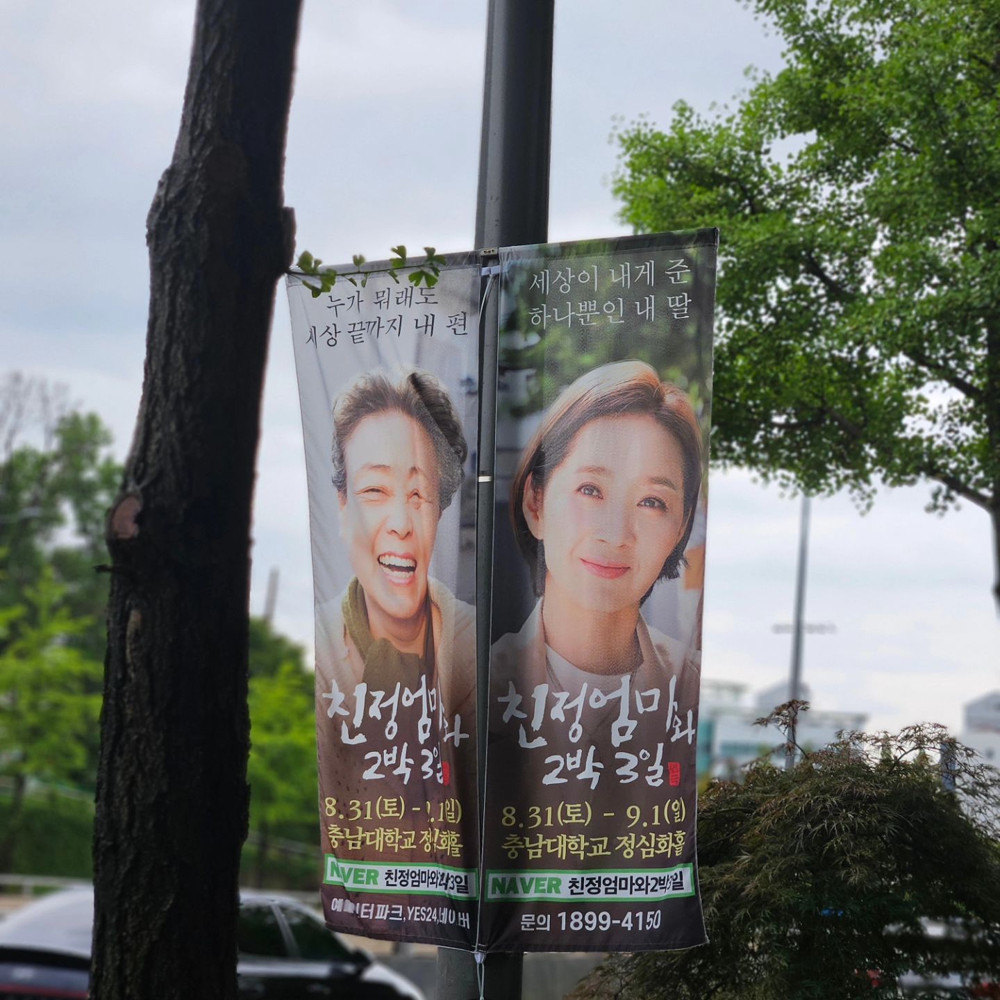 연극<친정엄마와 2박3일>
#친정엄마와2박3일 #연극

충남대학교 정심화홀에서
 8월 31일에서 9월1일 까지 
연극 한다는 소식을 듣고 홍보하게 되었다 

연극의 줄거리는 
엄마의 전화 한 통살갑게 받아주지 못하던 바쁜 서울 깍쟁이 딸, 미영. 어느 날 연락도 없이 시골 친정엄마 집을 찾는다.
 미영은 전기장판에 의지해 겨울을 나는 궁상맞은 엄마 모습에 속이 터지고 엄마는 갑자기 내려온 딸에게 무슨 일이 있는 건 아닌지 속이 타기만 한다.
 왜 진작 내려와보지 못했는지 가슴이 아픈 미영과 애미가 못나 고생하는 건 아닌지 가슴이 미어지는 엄마는 그렇게 지난 후회와 화해로 2박3일을 함께 보낸다고 한다
 미영이 서울로 올라가는 마지막 날, 둘은 마지막 인사를 나누는 이야기라고 한다

엄마 역할로 나오시는 강부자 배우님은 아주 한국에서 연기의 신이라고 불리는 배우님으로 나오시고 

딸 역으로 나오시는 윤유선 배우님 등등 여러 유명 배우님들이 나온다는 소식을 듣고 보고 싶다는 생각이 엄청 들게 되었다 
엄청 기대가 된다 

여러분들도 8월 마지막 날과 9월 첫째주를 가슴 따뜻한 이야기를 듣는 감동적인 연극 보는거 어떨까요?
 #대전연극 #대전공연 #대전연극추천 #대전이색데이트 #대전실내데이트