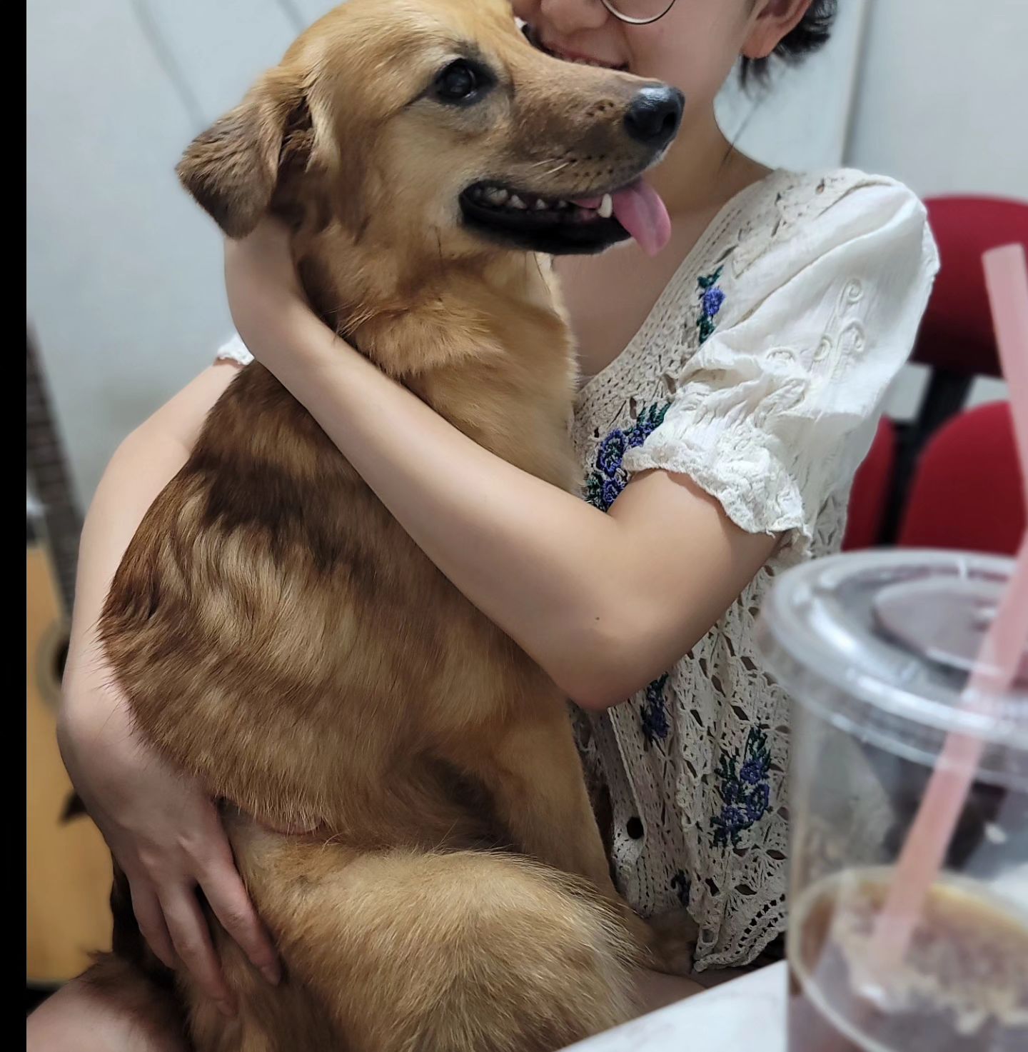 우리 모나가 무지개 다리를 건넜습니다..
내게는 너무나도 특별했던 모나
다들 후회 없이 사랑해주고 사랑 받았으니 괜찮다 하지만
그거랑은 별개로 나는 항상 우리 모나가 너무 보고싶어
해사한 웃음을 볼 때면 불행하다 싶은 순간조차 위로가 됬는데..

이제 내 마음한켠엔 너를 두고 이제 앞으로 다시 나아가보려 해
언젠가 꼭 다시 만나자 우리 애기♡