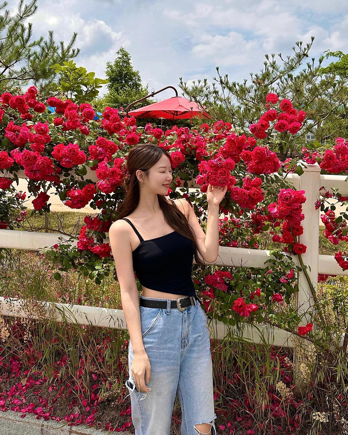 그냥 지나칠수없자냐~?🌹🤍 오랜만에 나들이에 신남➰ 전동자전거 타자마자 멈춰서 찰칵📸 여기 장미도예쁘고 팜스카나, 호밀밭도 예뻐서 보고만 있어도 넘햄복해ㅠㅠ🫶🏻