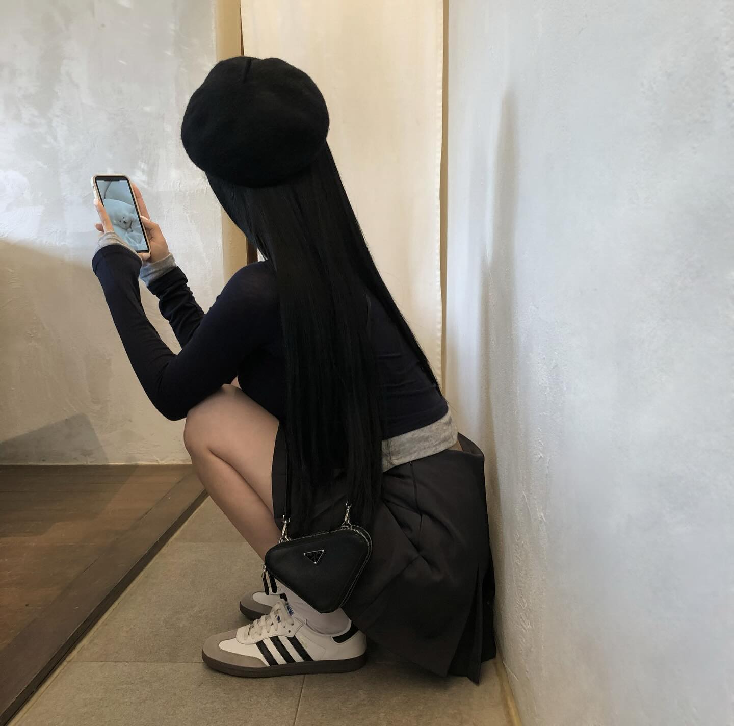 댕댕이가 포인또 🐾
