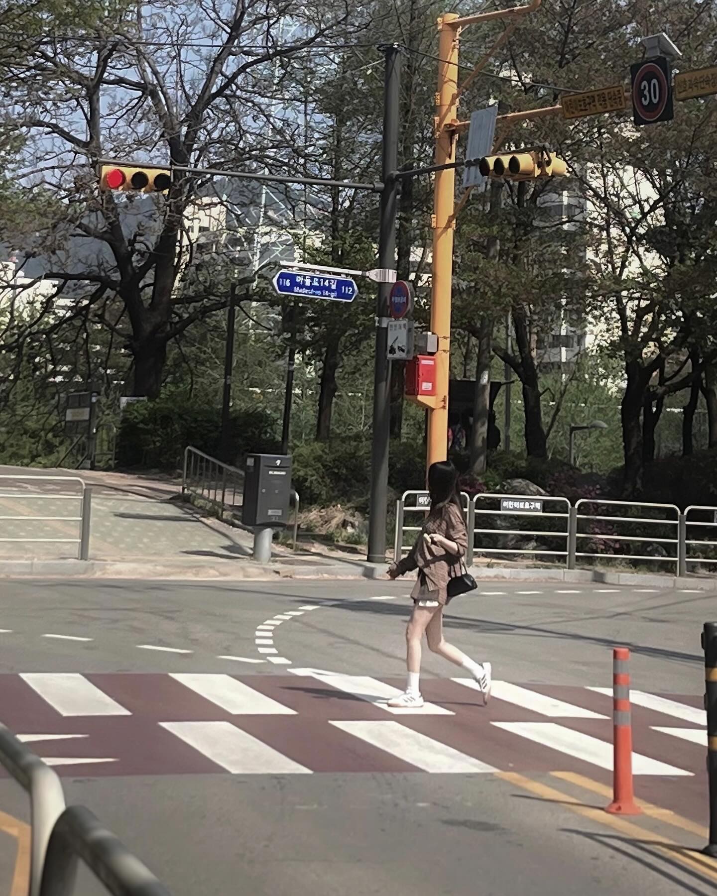 🌱🚦🐢