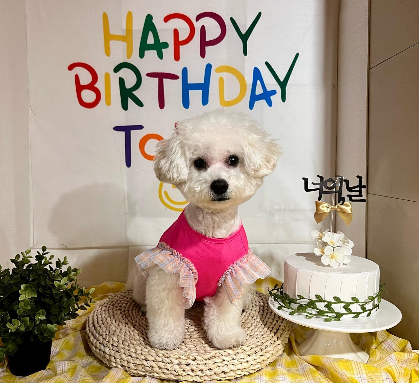 🌸ᕼᗩᑭᑭƳ ᗷᎥᖇ丅ᕼᗪᗩƳ🌸
1️⃣짤 으른멈머 김짱구🙂❤️