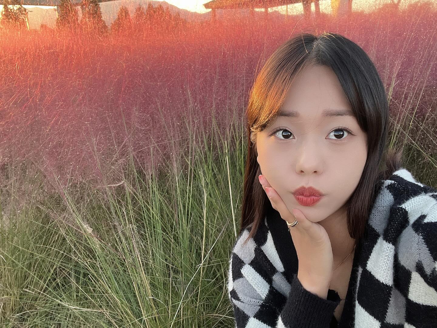 나도 핑뮬 💗