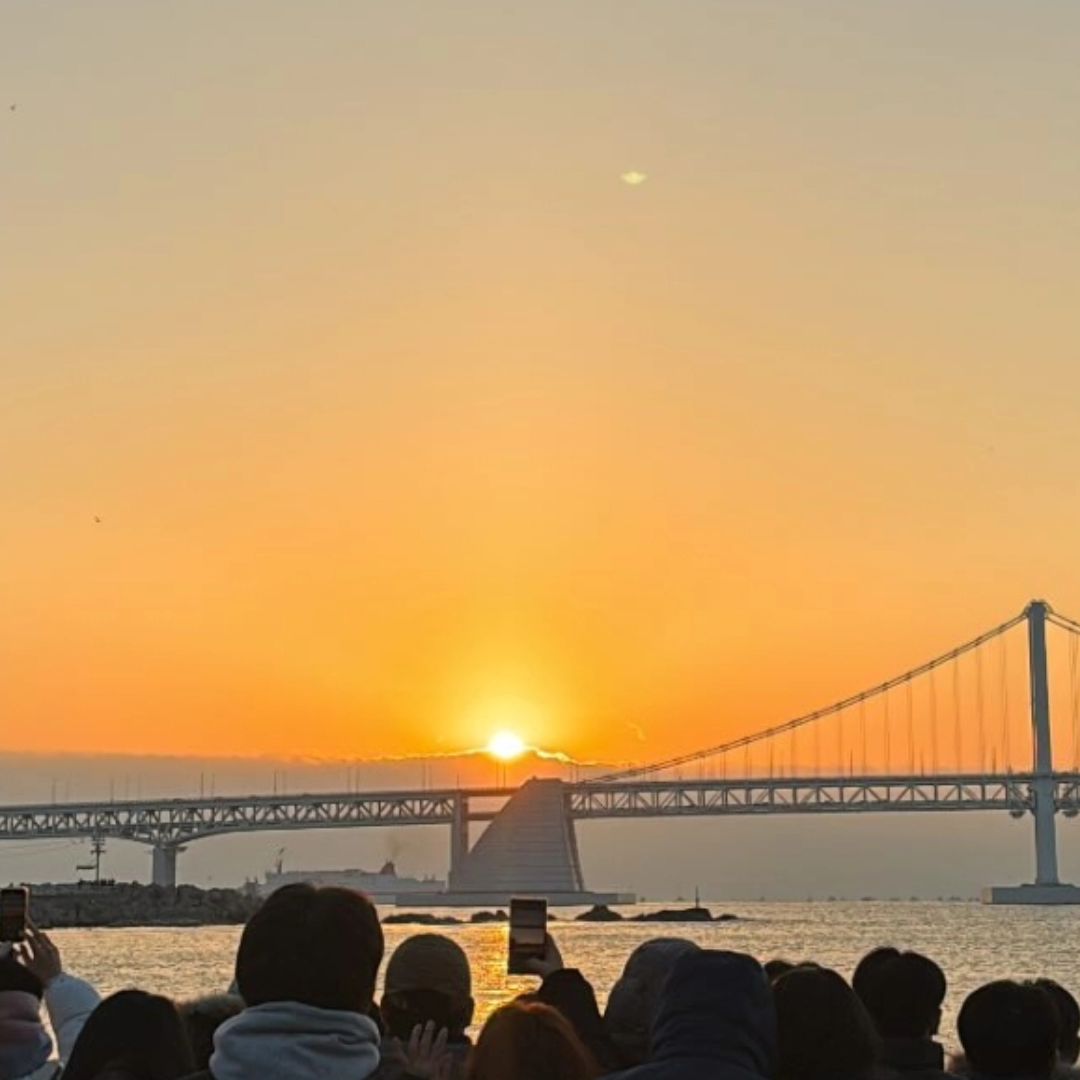 #happynewyear 
다들 올한해 원하는거 다 이루시고
늘 건강하시고 행복한 일만 가득하시길 기도합니다 
새해 복 많이 받으세요 ❤️

#새해 #2024 
#새해복많이받으세요 
#행복하자 
#소통 #일상 #일상기록