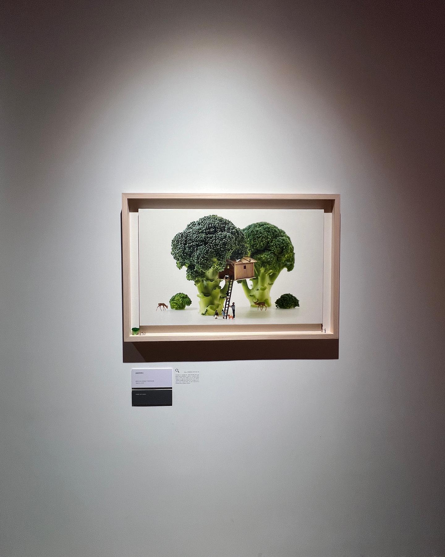 숲이 그리울땐 브로콜리를 보기 내가 오케스트라를 한다면 부끄러우니깐 저런 미니어처에서 하고싶다