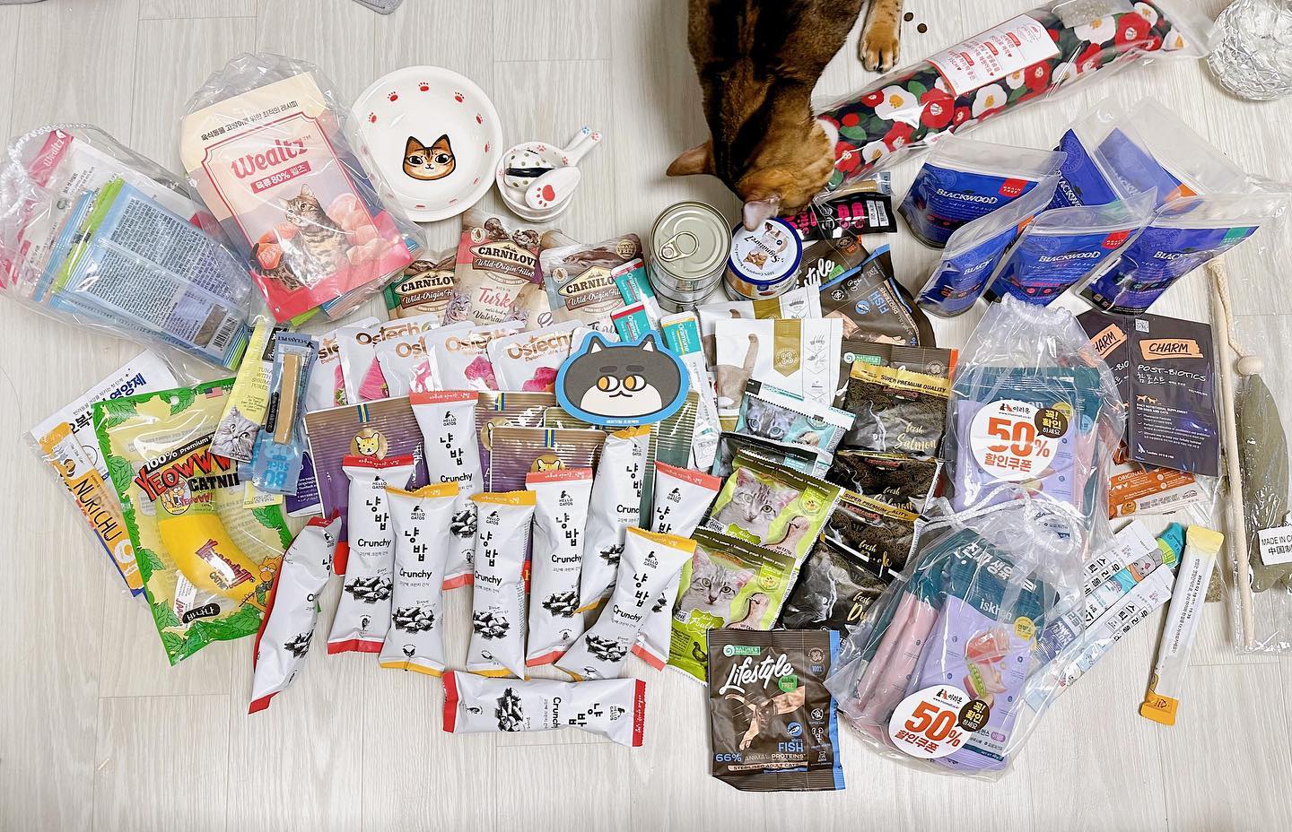 사냥 성공!🐈
⠀
춘식이 사료 바꿀 때가 된 거 같아서 샘플을 많이 가져왔다😋 궁팡 넓고 그렇게 덥지 않아서 너무 좋았다👏👏
⠀
도도해가 목적이었는데 번호표 마감... ㅠㅠㅠㅠ 아쉬운 마음 뒤로 하고 다른 거 털었다ㅠ