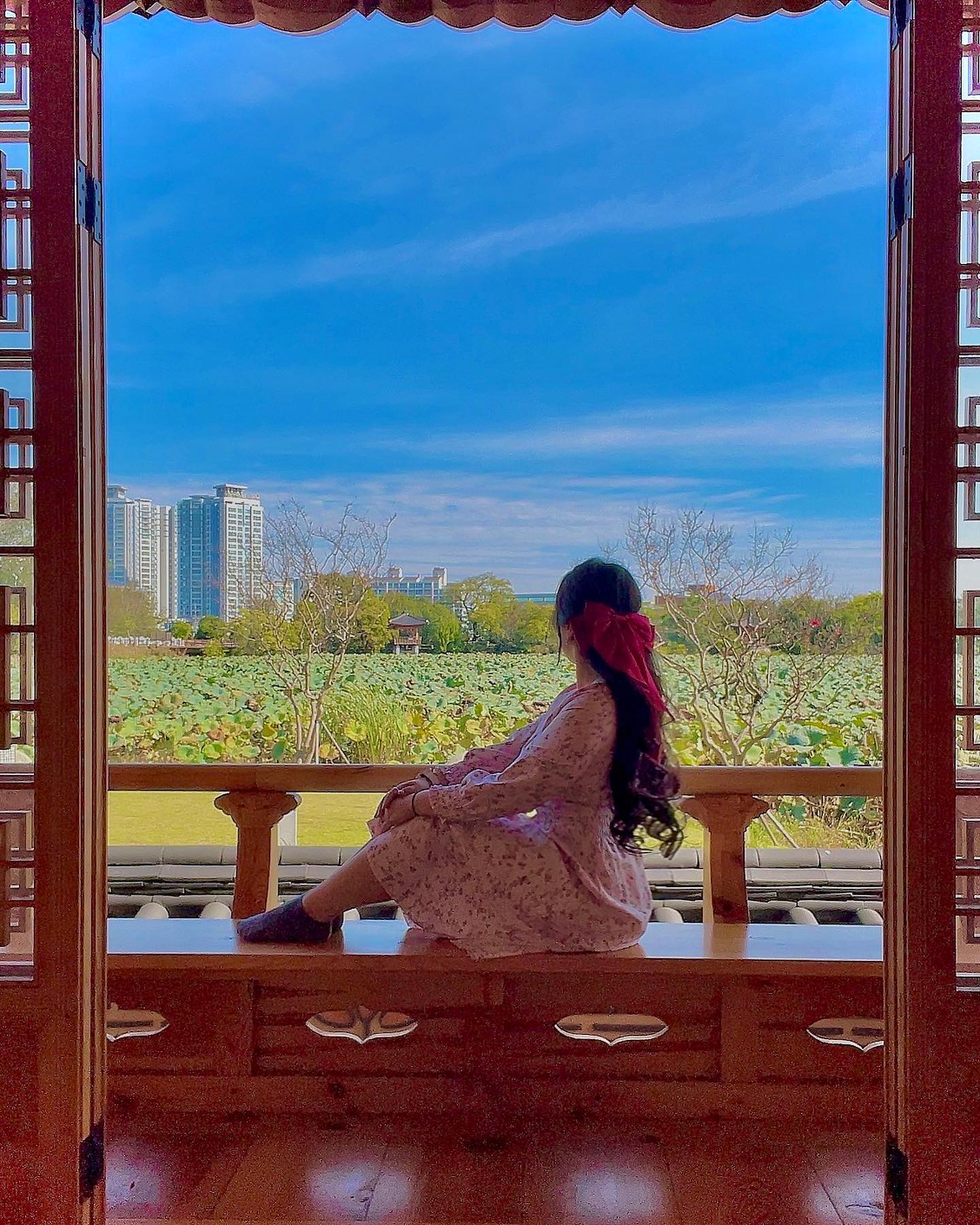 #연꽃 은 없지만 #연잎 가득한 #연꽃밭 뷰
이 곳이 정말 도서관인가? 싶었는데, 정말 도서관이었다 
#덕진공원 의 #연화정도서관 
원래 가려고했던 포토존에는 유치원 소풍으로 인해 ㅠ 어린이들에게 몇십분째 점령당하는 중이라 포기하고 조용하고 사람이 없는 열람실에서 살짝📸
첫번째 사진은 그늘에서, 두번째 사진은 햇볕에서 찍어서 완전 색감이 다르게 나와버렸다 😅
야경도 예쁘다고 하지만, 야경은 다음에 언젠가 보는거로🩵

🗺 전북 전주시 덕진구 권삼득로 390-1 전주덕진공원
✅제가 찍은곳은 도서관이라 🤫
👌🏻제가찍은 열람실보다, 포토존이 더 이쁘대요!
🅿️덕진공원 주차장 주차가능

#전주여행코스 #전주여행 #덕진공원연꽃 #전주갈만한곳 #전주여행추천 #인생샷 #관광명소 #나만알고싶은곳 #전주데이트