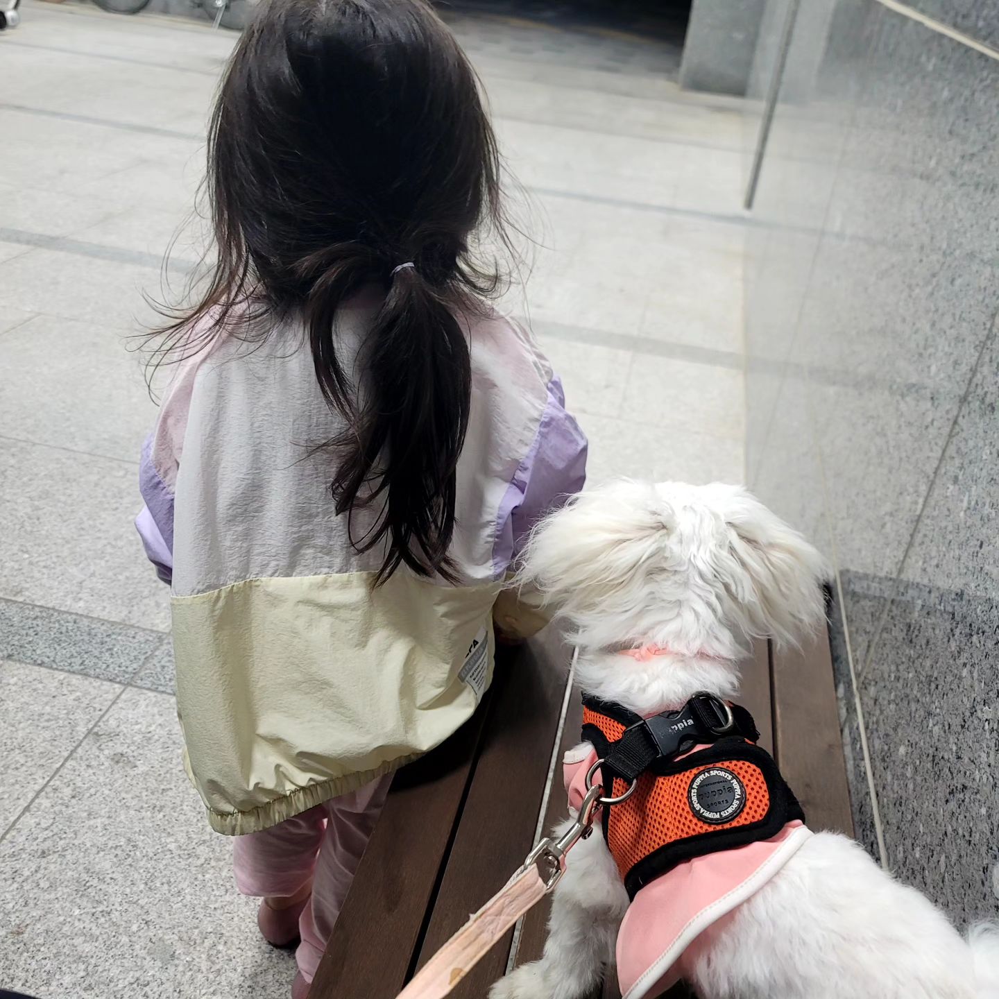 더운 여름 

야간 산책 

작은놈 질주본능

큰놈 💩 💩 💩 💩  밭 하고 

다니고 힘드네 

온가족 출동 

#말티즈 #아기와강아지 #아산