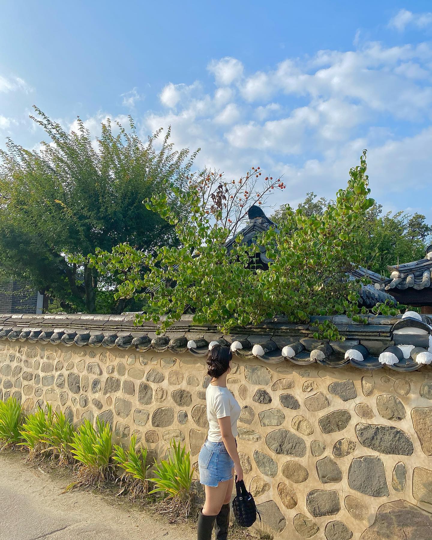 come back to Andong🧡