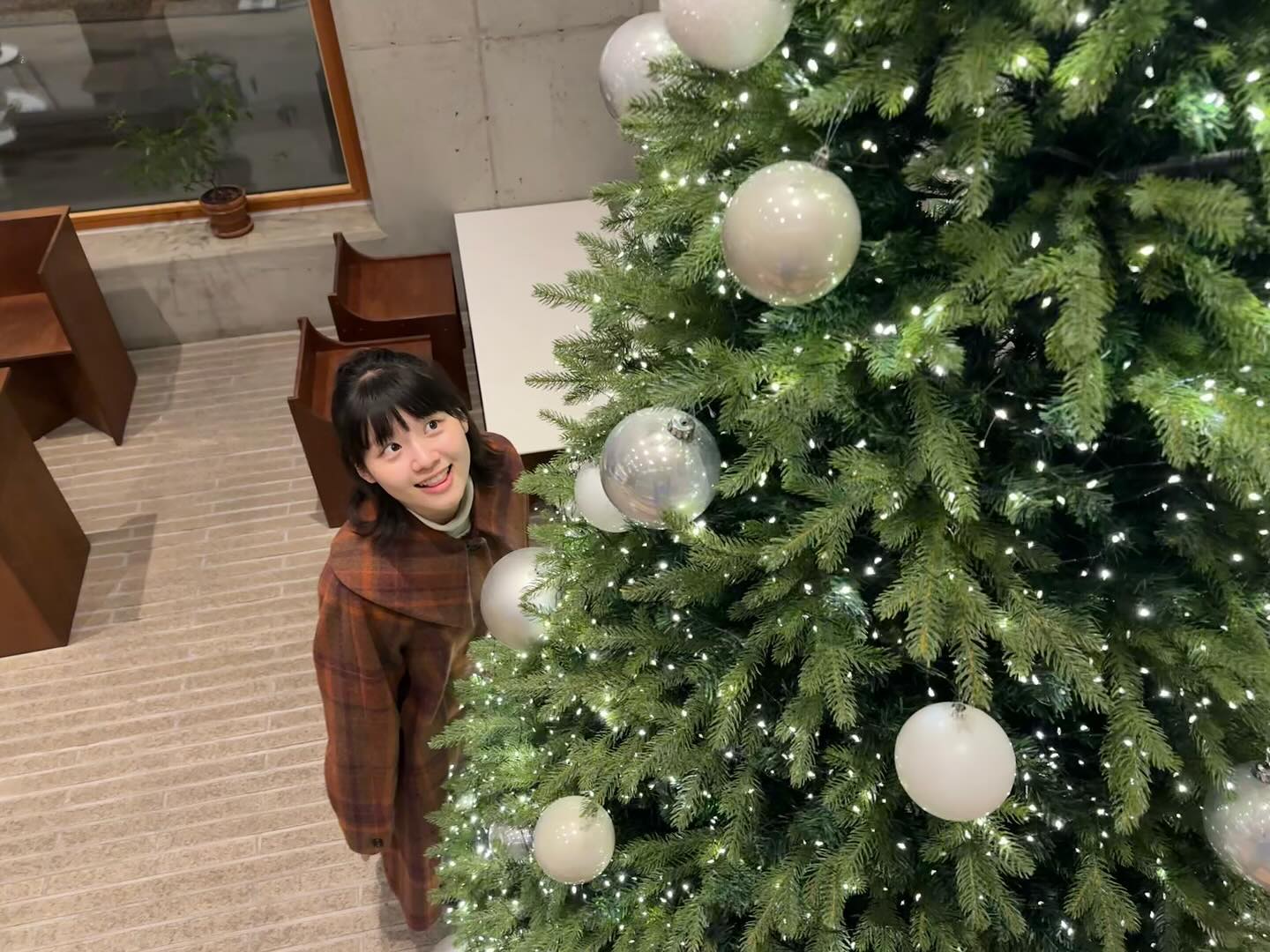 올해의 #크리스마스 트리 사진 🎄🤶🏻 은 이렇게 담아보아요 ( 호호 ) #merrychristmas ❕