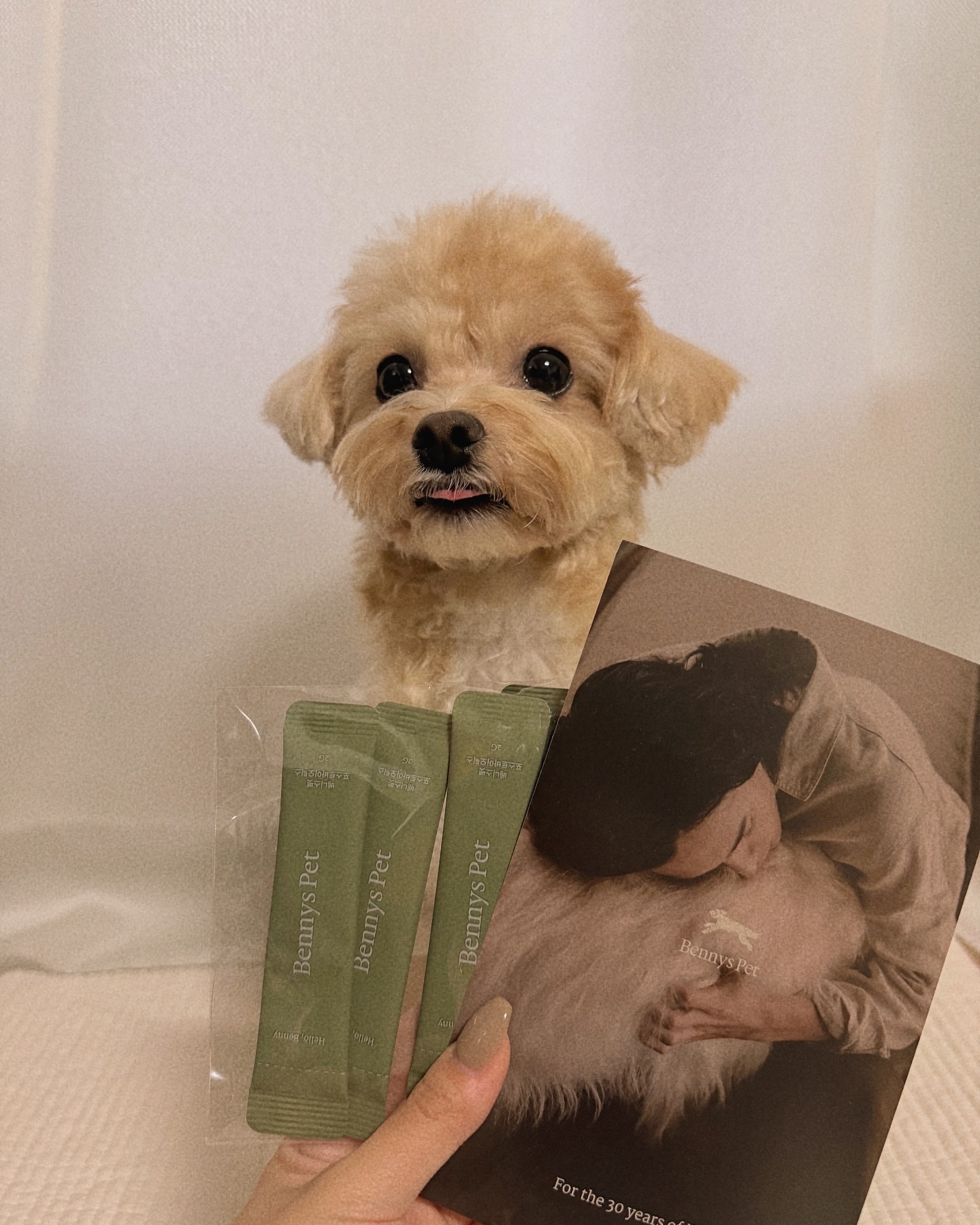 유산균 마시떠🌱🫧
평소 먹는 건사료 또는 습식사료 위에 베니스펫 포스트바이오틱스를
뿌려주면!! 아주 맛있는 식사 대령이옵니다〰️🛎️ 완전 강츄!!

🏷️ bennyspet 

#베니스펫포스트바이오틱스 #강아지유산균 #베니스펫 #베니스펫유산균 
#강아지유산균추천 #말티푸 #반려동물유산균 #강아지 #멍팔맞팔