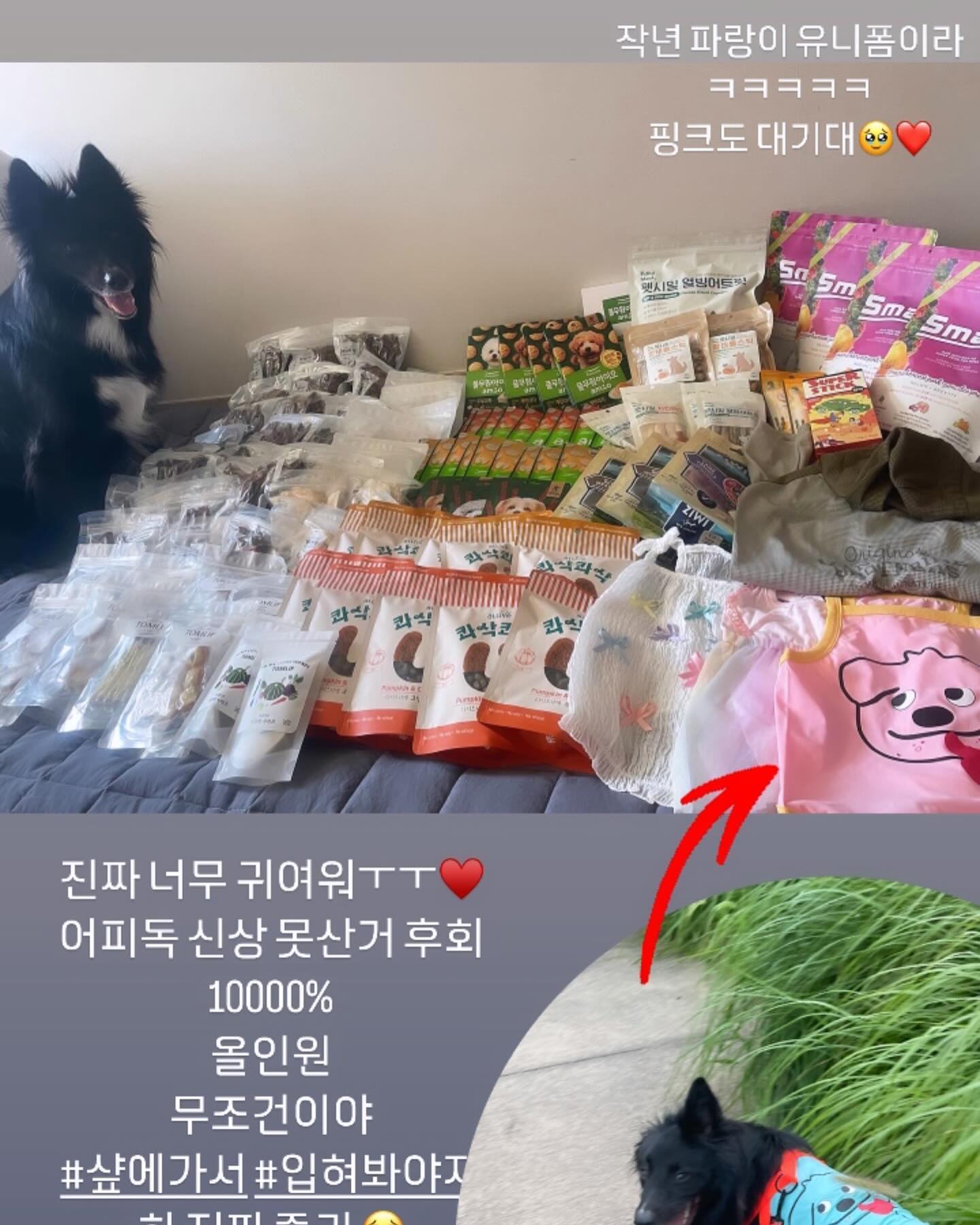 uppidog_official  달콤 최애 ❤️

다들 알아줘야지이 ❤️❤️❤️🥰