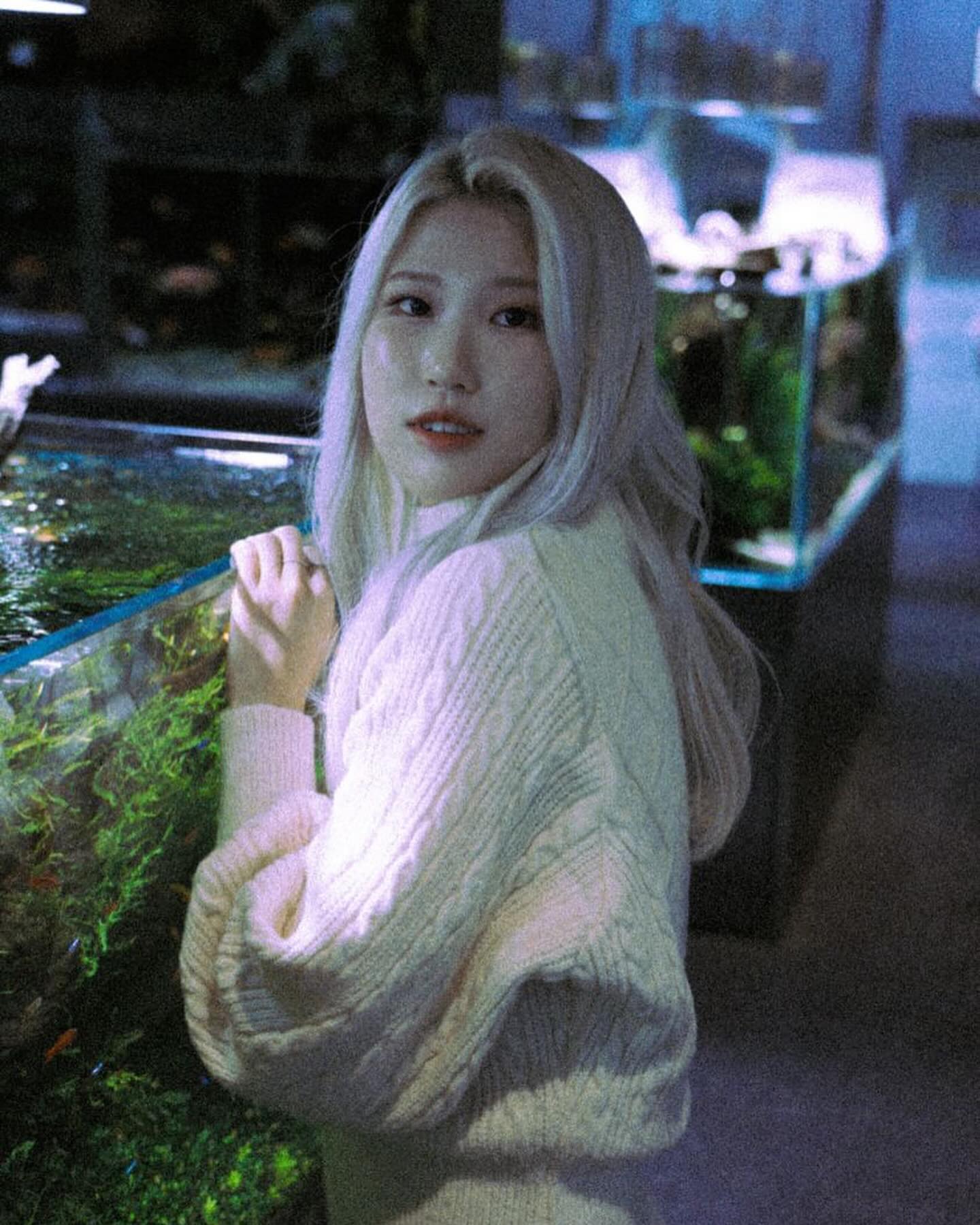 거북이다 🐢