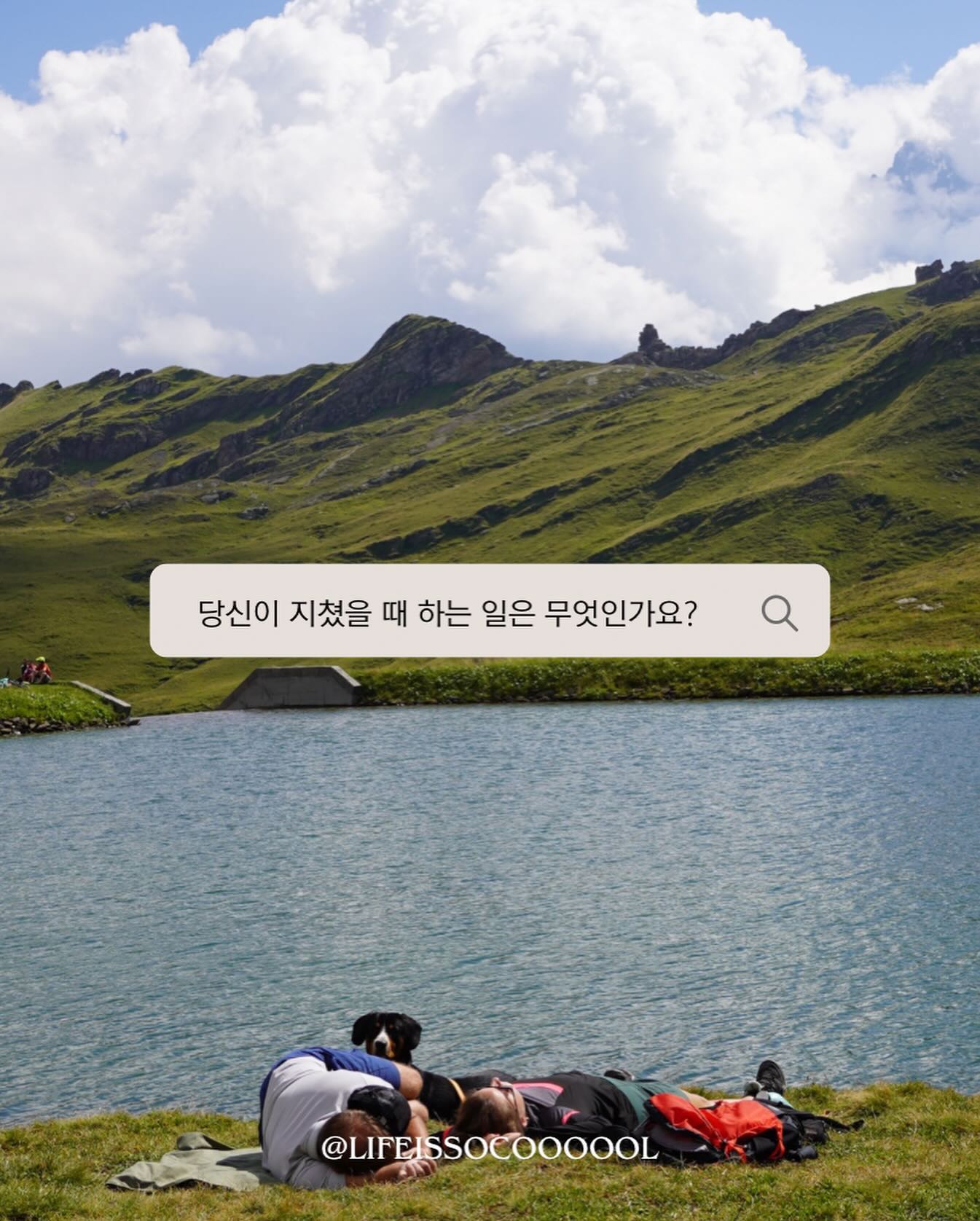⠀
두번째장 진짜 도움됨‼️
사진 찍는게 취미인지라 
앨범속에 담아두기엔
너무 아까운 사진들이 많았는데 
지난 게시물 댓글을 보니
함께 봐주실 분들이 꽤나 있는 
것같아 기분 좋게 
오늘도 찾아왔습니다!
⠀
당신의 취향은 초록입니까 
파랑입니까?라는 질문에
“파란 하늘에 초록배경이라면 
욕심일까요?” 라는 댓글이 있었는데
있습니다! 말씀하시면 뭐든 있습니다 

그래서 요번엔 파란 하늘에 초록배경 그리고 잔디에 냅다 누워 쉬고 있는 사진을 가지고 왔어요 만족 하시나요!
⠀
그리고 사진만 보기 너무 심심하니까 앞으로 제가 책에서
읽은 좋은 구절이나 글들도 같이 가지고 오려고 하는데 어때요?

📢여러분들이 지쳤을 때 하는 것
📢힐링 사진과 좋은 구절 같이 가지고 오는거 어떤지 댓글로 의견 남겨주세요 (제발~)

⠀
⠀
⠀
⠀
ㅡ
lifeissocoooool 
lifeissocoooool 
lifeissocoooool 

#여행사진 #미국여행 #유럽여행 #미국살이 #좋은글 #좋은글스타그램 #사진스타그램 #힐링사진