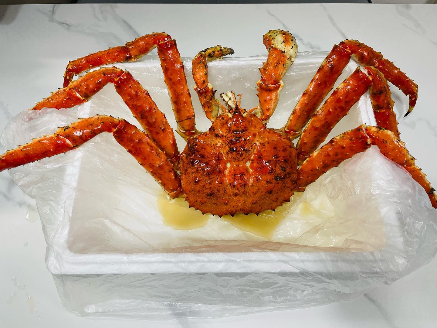 콘텐츠