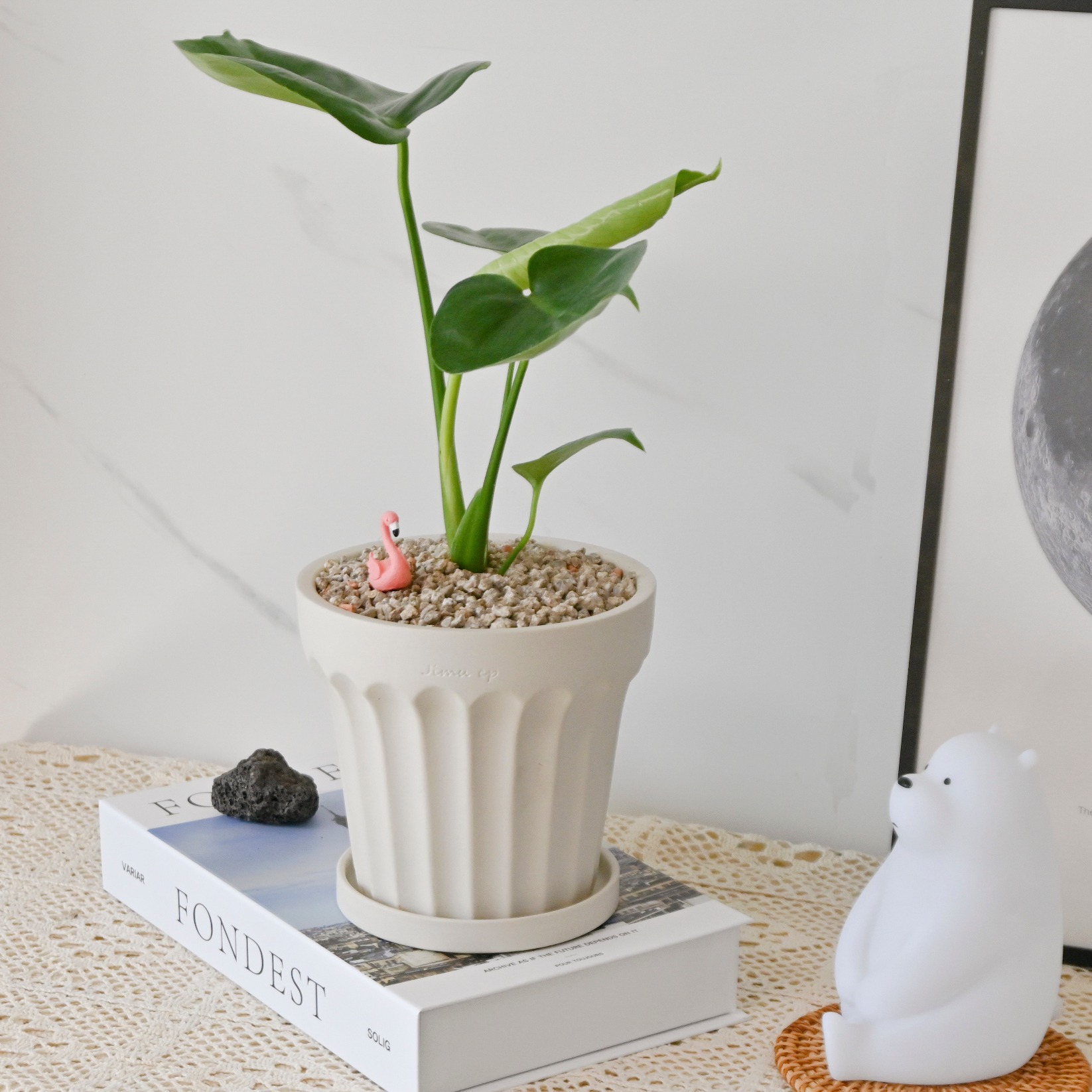 🌿✨ 신상품 출시! ✨🌿
.
우리의 새로운 "몬스테라 심플 화분 세트"를 소개합니다! 초록의 싱그러움을 당신의 공간에 가져다 줄 완벽한 조화. 초보자도 쉽게 관리할 수 있어, 식물을 키우고 싶지만 어디서부터 시작해야 할지 모르는 분들에게 안성맞춤입니다. 🌱
.
📦 구성품:
튼튼하게 자란 몬스테라
심플하면서도 세련된 디자인의 화분
안정감 있는 화분 받침대
귀여운 플라밍고 피규어로 마무리한 아름다움
.
🌤️ 키우는 방법:
위치: 양지 혹은 반양지에서 잘 자랍니다.
온도: 이상적인 성장 온도는 16~25도입니다.
물주기: 일주일에 한 번에서 두 번, 식물의 상태를 보며 조절해주세요.
💬 꽃말: "기이함" - 몬스테라는 그 독특한 모양과 성장 방식으로, 당신의 공간에 기이함과 함께 생명력을 불어넣어 줍니다.
.
이제 집 안 어디든, 사무실 혹은 카페에도 자연의 싱그러움을 더해보세요. 몬스테라 심플 화분 세트와 함께라면, 당신의 공간이 더욱 생기 넘치는 곳으로 변모할 것입니다. 🍃
.
🛒 지금 바로 주문 가능!  프로필 링크를 클릭해 구매해보세요. 
스마트스토어, 쿠팡, 오늘의집에서도 만나보실 수 있습니다!

#몬스테라 #식물스타그램 #인테리어소품 #홈데코 #식물키우기 #실내식물 #건강한생활 #자연스러운생활 #플랜테리어