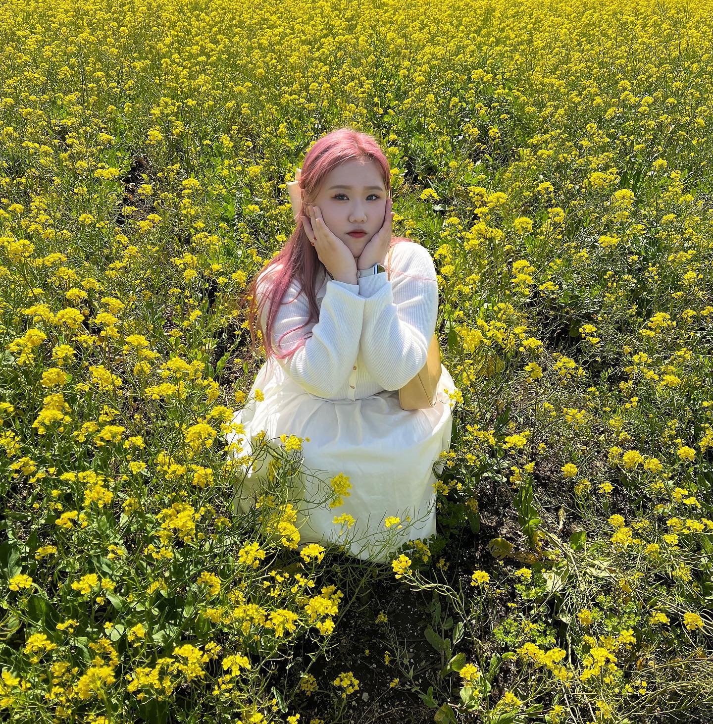 🌼