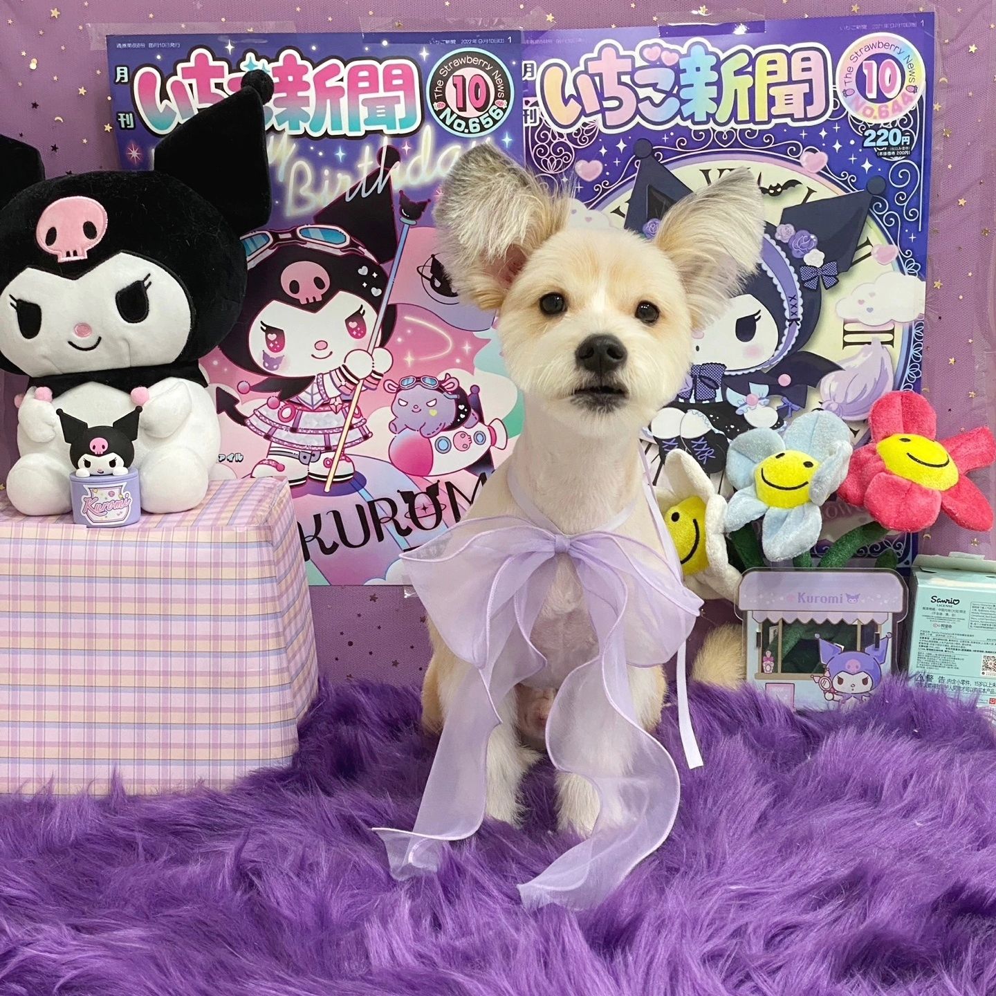 미용해따 ! 날로 말을 안듣는 똥깡아지 
newday_petsalon 
예쁘게 해주셔서 항상 감사해요❤️
#뉴데이반려견미용실