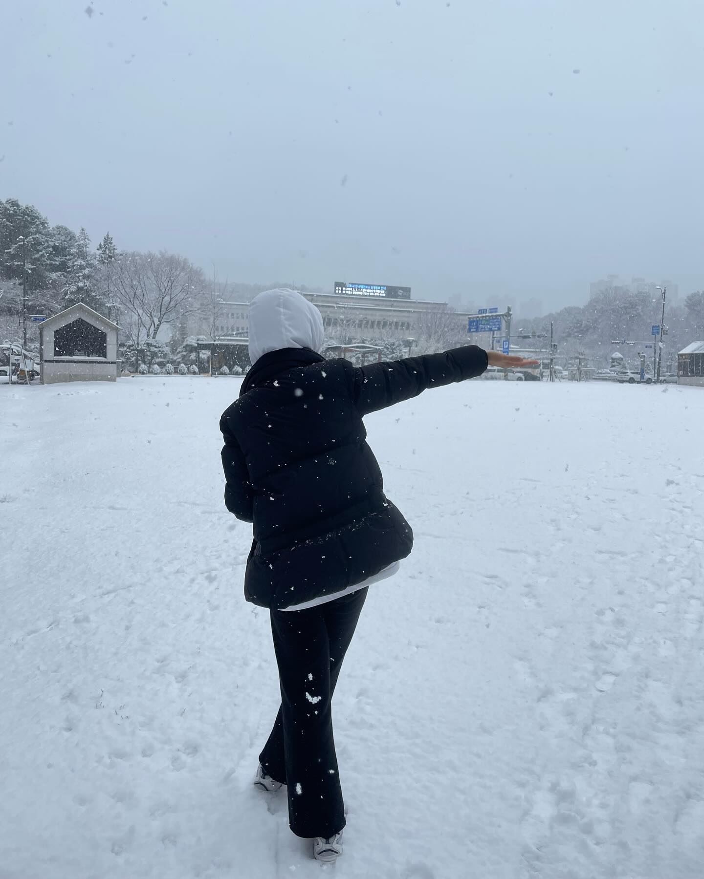 ❄️
