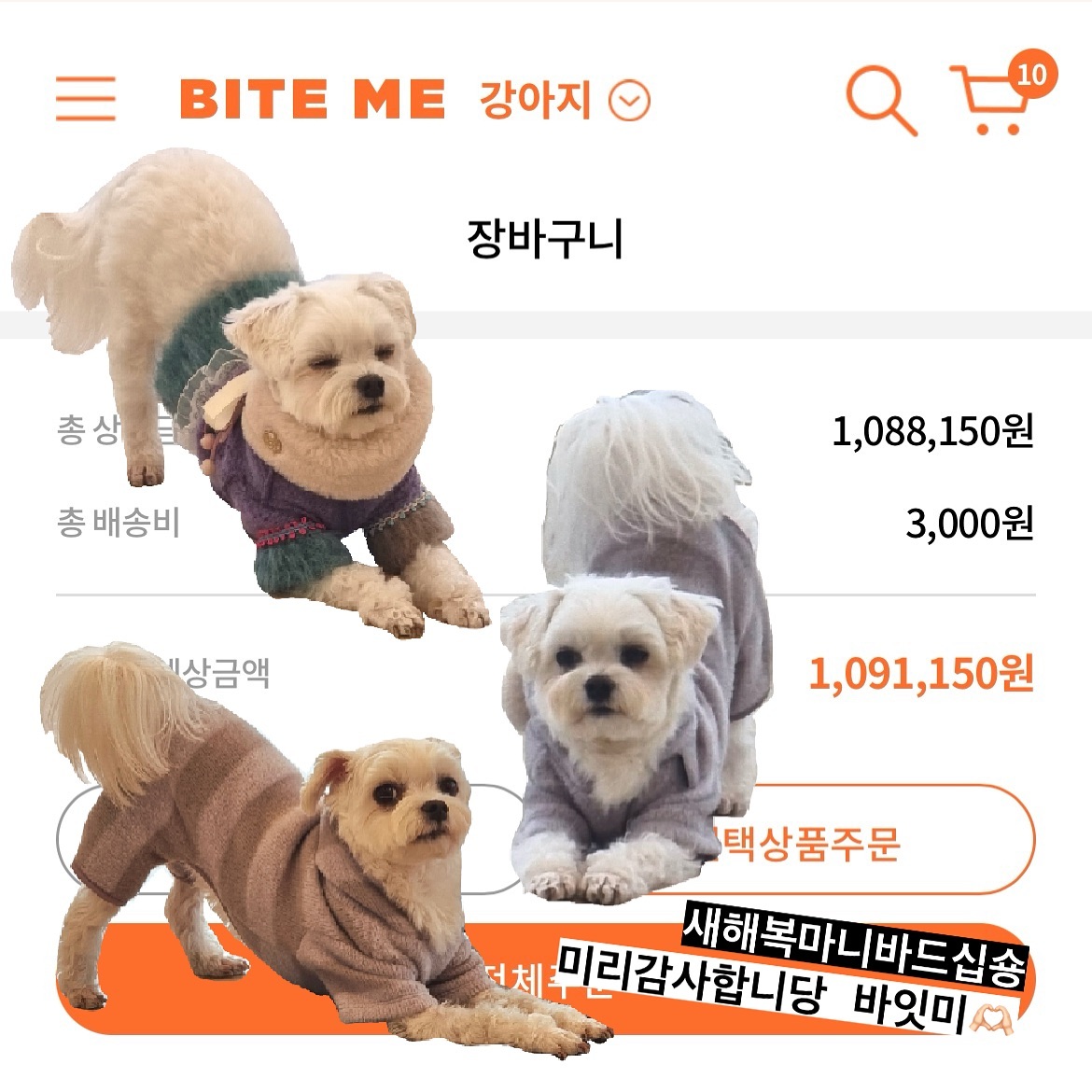 #바잇미 #바잇미장바구니이벤트 #KA210119043800Z8f
🏷️ biteme.co.kr