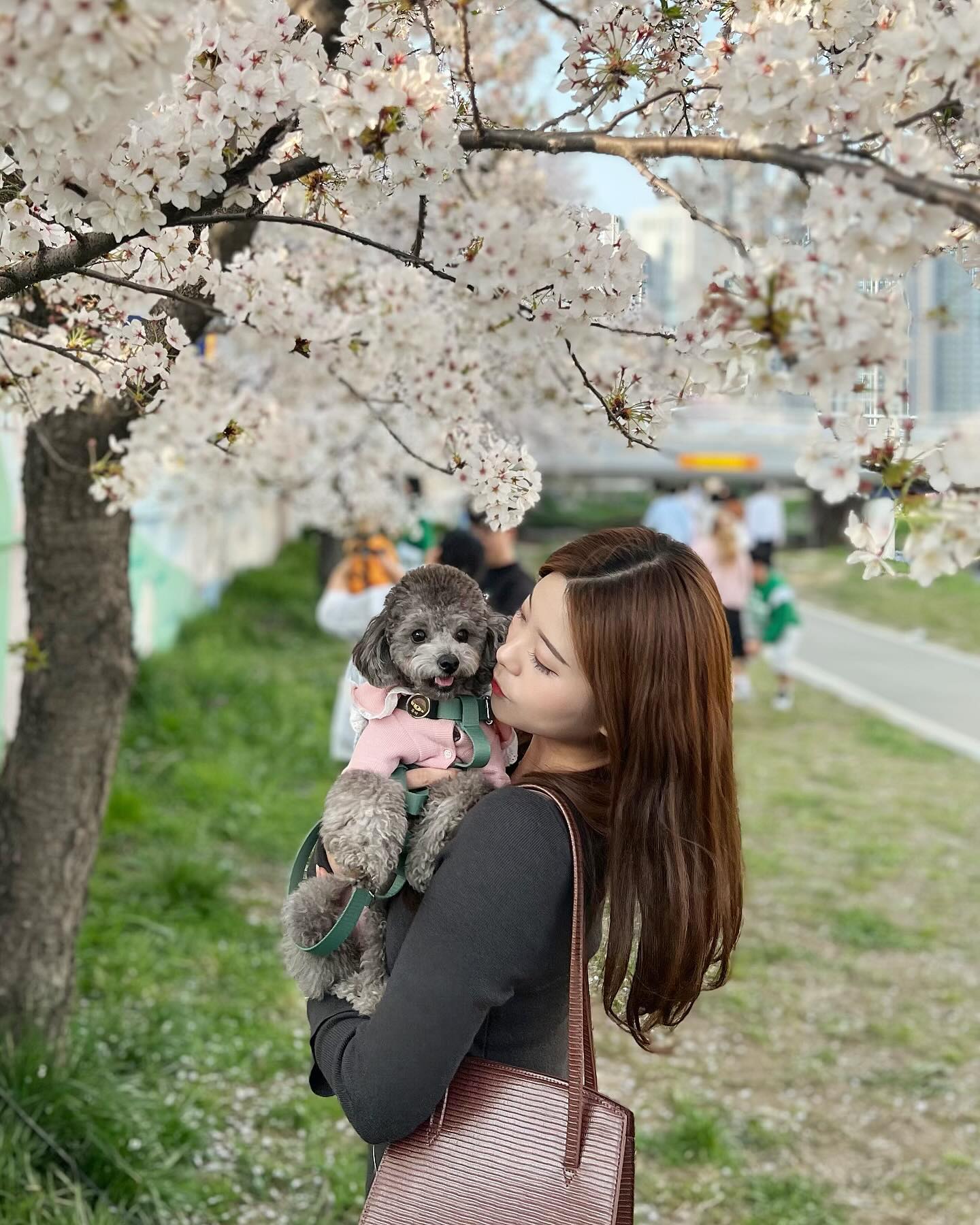뚜비야 언니랑 행복하자 🌸