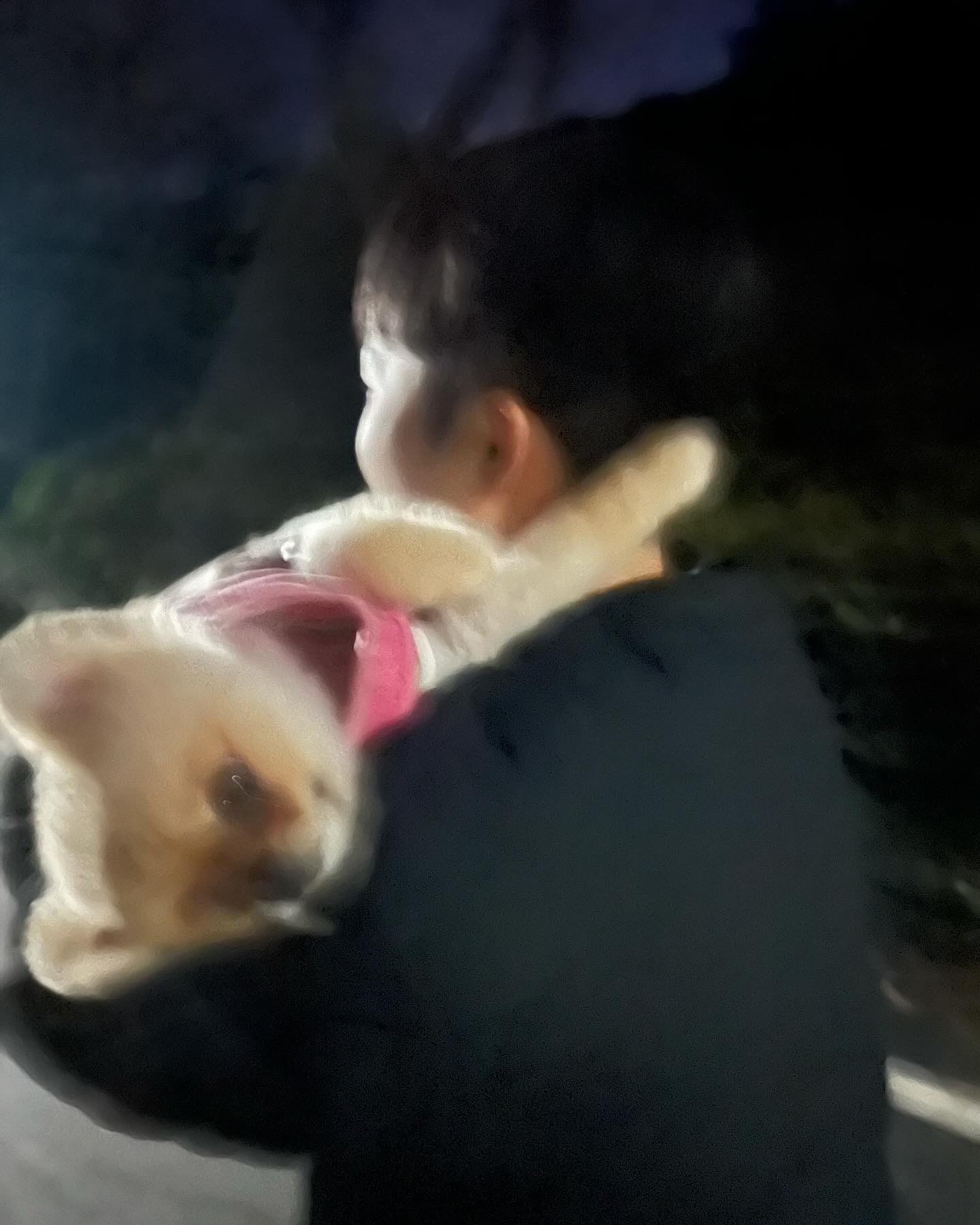 다들 우울할땐 내 포즈를 따라해봐^^✌️
(편한거 맞음)