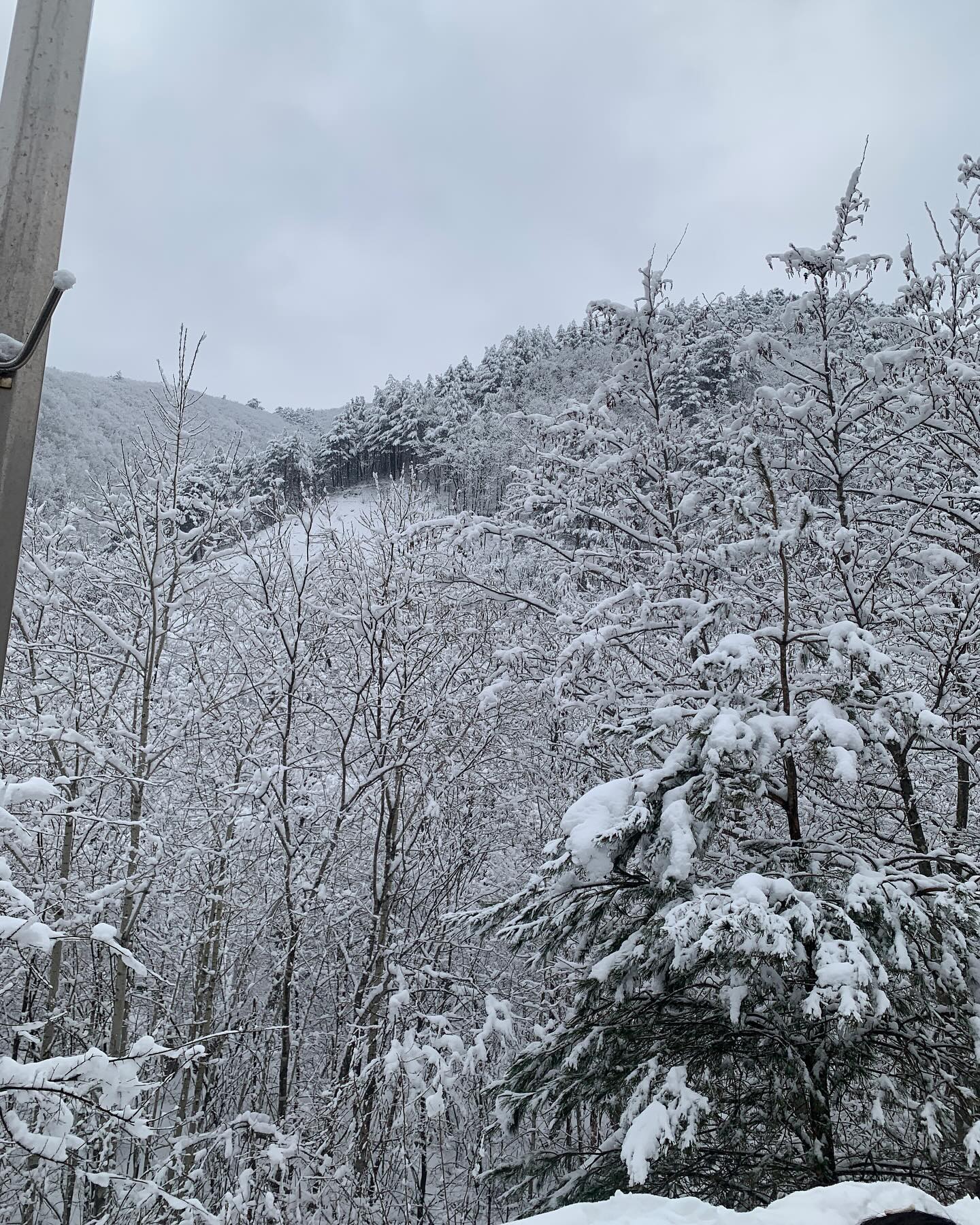 1월 1일 해돋이를 보러 갔는데
눈구경 실컷하고 왔다. 
해돋이를 못봐서 올 해는 꽝인 것 같다. 😭
갑진년인데 용띠가 삼재라니 😭 
믿진 않아도 기분이 별루다.😭 

그래도 새해 복 많이 받아🐲

#해돋이 #망함 #갑진년