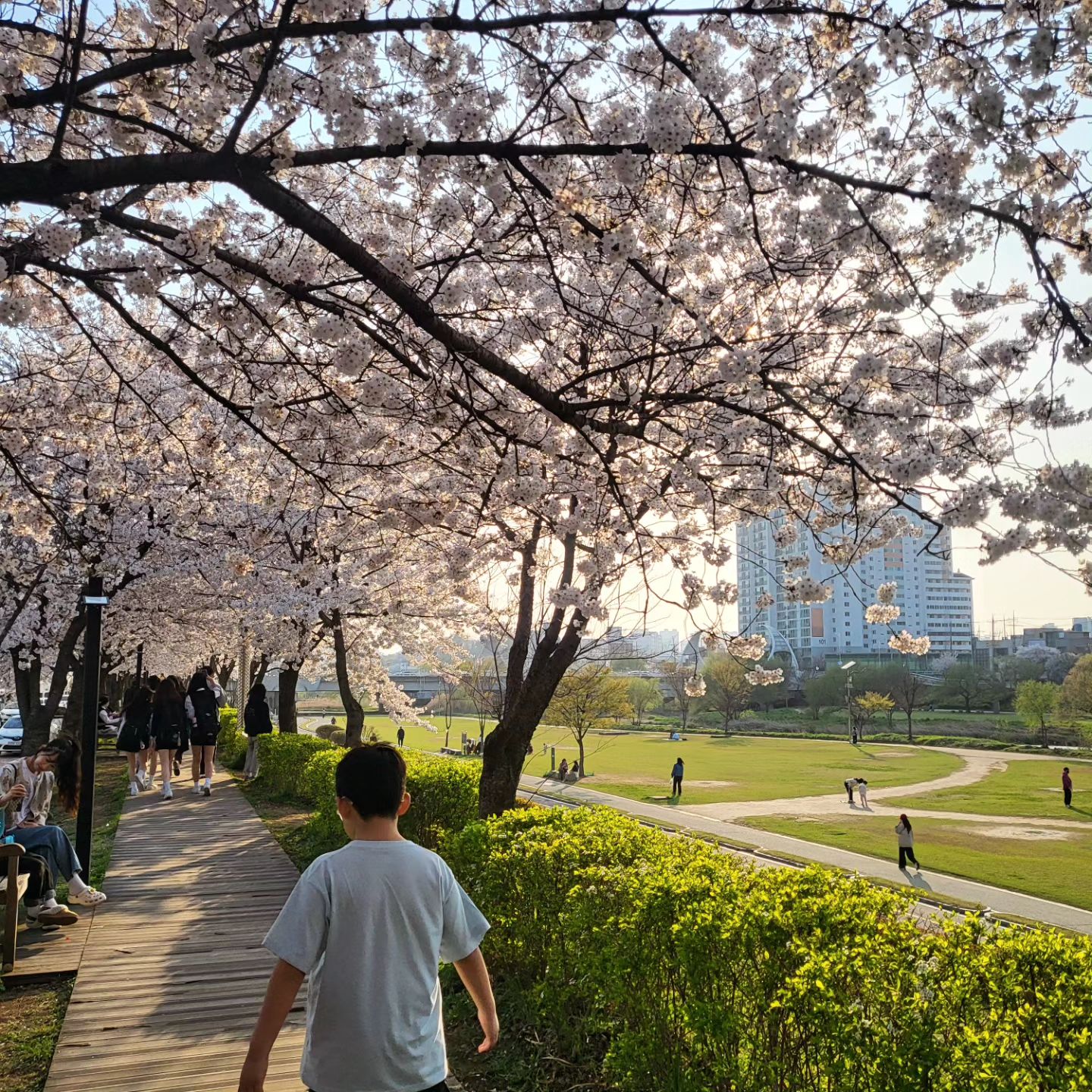 너무 예쁜 오산천🌸🌸🌸
우리 꼬마 수영 끝나고 집에 안가고 오산천 벚꽃길 걸으며 힐링된다고😌
양 많아서 나도 다 못먹는 3대넙적칼국수 🍜
산더미같은 넙적부추들깨칼국수 한그릇 뚝딱하네.😁
#오산천
#오산천벚꽃
#오산맛집
#오산칼국수
#3대넙적칼국수
#넙적칼국수
#오산천맛집
#오산스포츠센터
#오산스포츠센터맛집
#오산천칼국수
#오산맛집추천