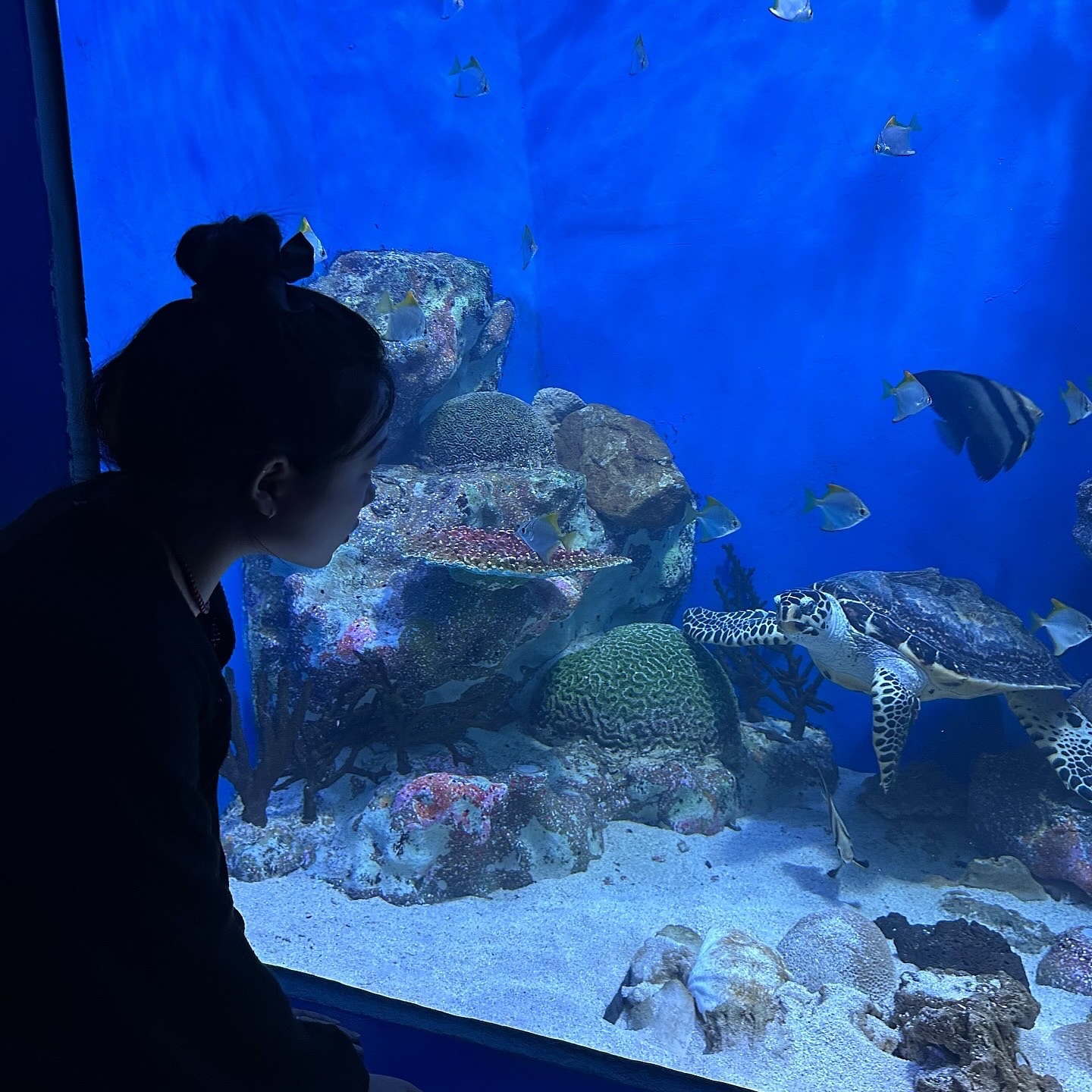 안녕 애두라 :-)