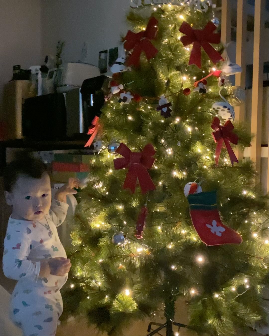 이번 겨울에도 트리설치완료 🎄