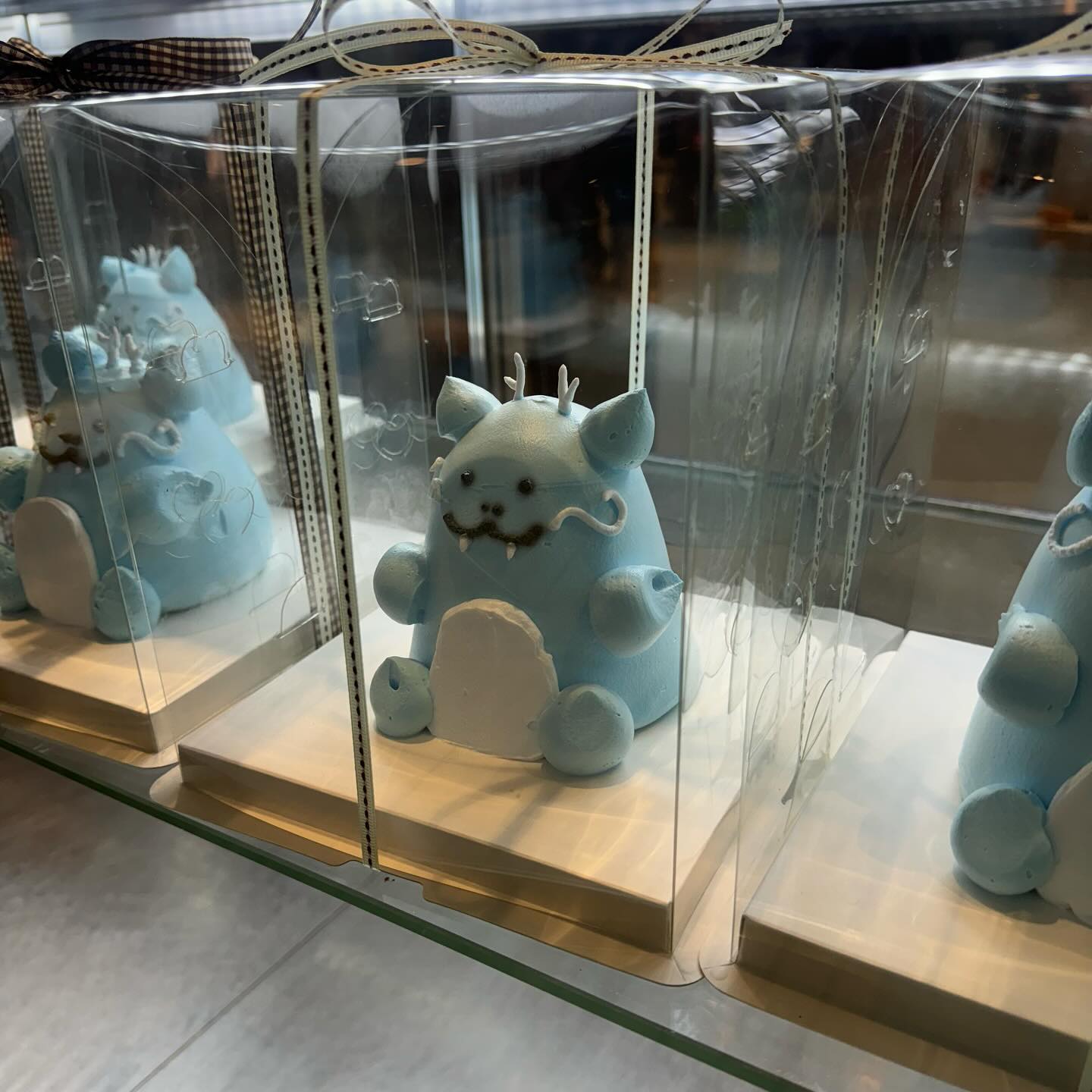 우리에게 청룡의 기운을 주고간 … : ) 💙