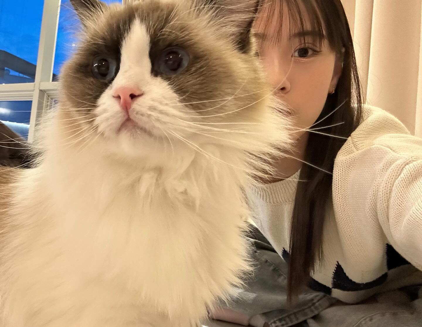 우리집 고양이 츄르를 좋아해