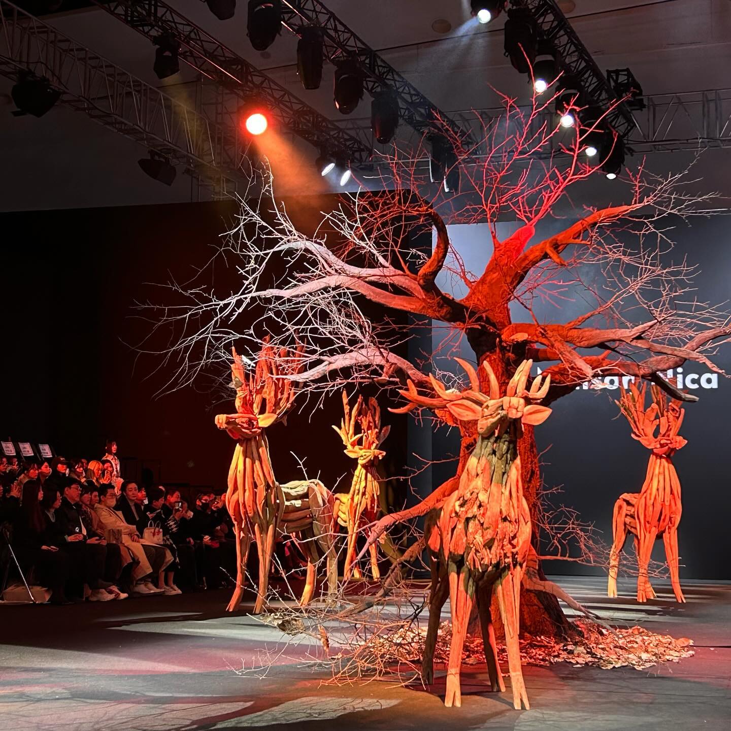 #MAISONNICA #24FW #SEOULFASHIONWEEK