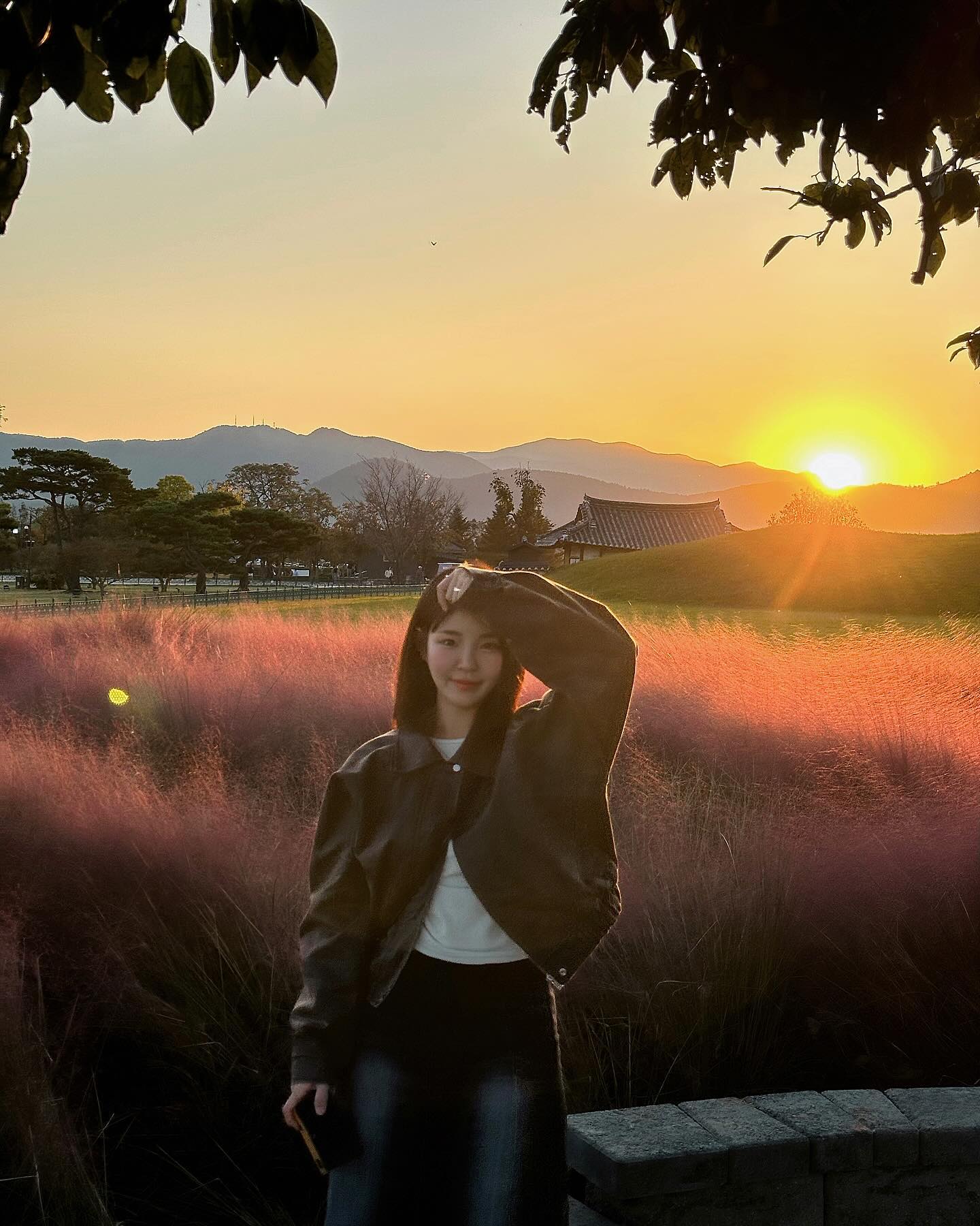 핑크뮬리 이쁘넹? 🍂