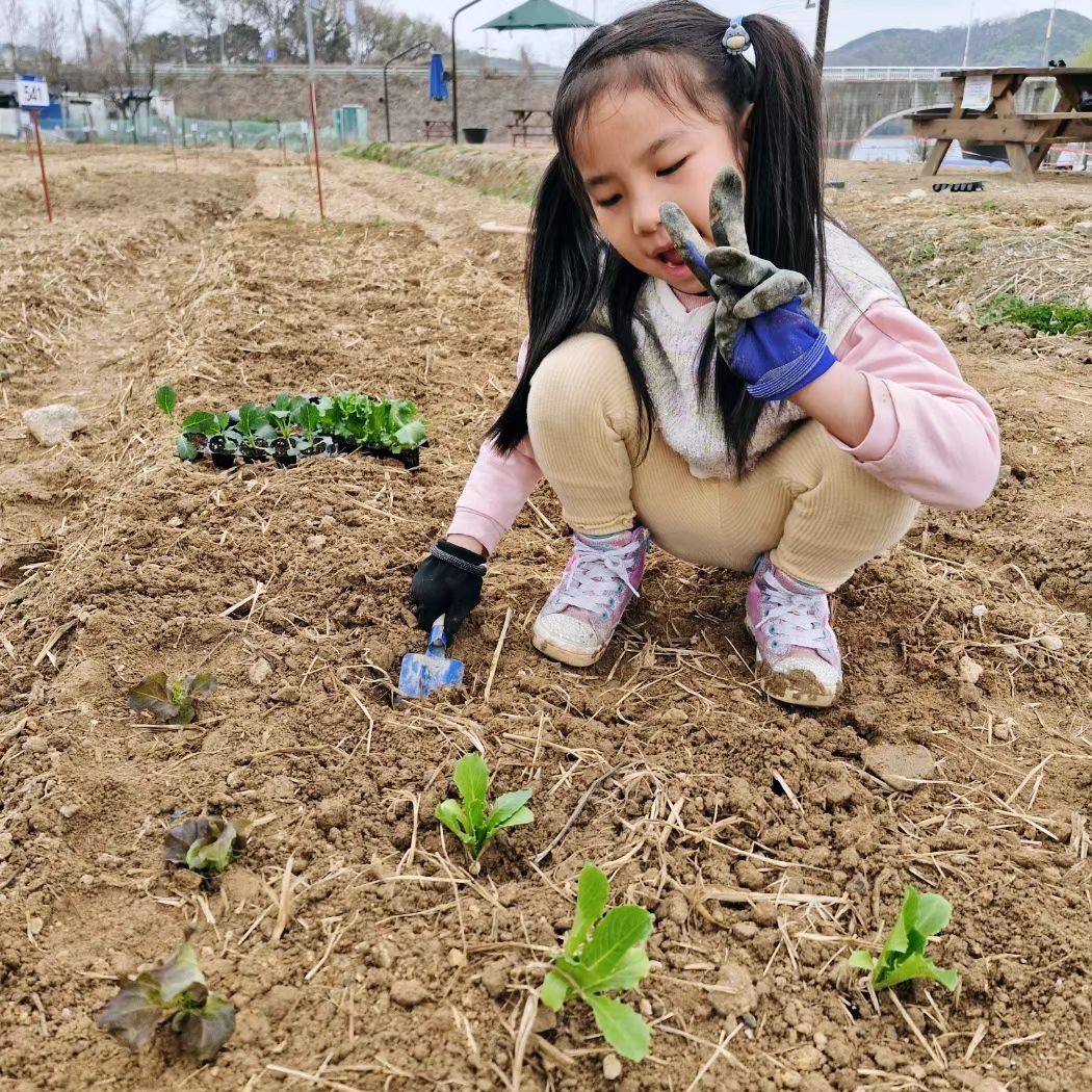 첫 #학교장허가교외체험학습활동
시민농장에서 채소심기 😀 
식목일이라 나무라도 심어야 하지만 올 해는 이걸로 우선 만족하자. 내년에는 아파트 옆 수목공원에 작은 묘목 한 그루 심어볼까?
•••
#시민농장 #식목일 #텃밭체험 #아이와함께 #daily #farm #kids #farmer