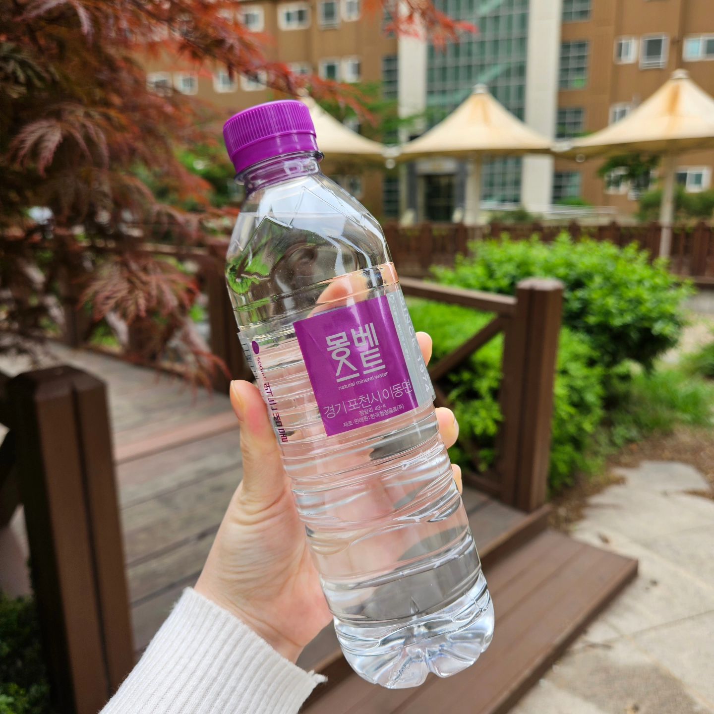 #할인구매 montbest #몽베스트 #프리미엄생수
프리미엄 생수 몽베스트🥛
일단 디자인도 깔끔하니 예뻐서
휴대용으로 딱!
아이들 학교갈때도 하나씩 챙겨주기 좋고
분리배출도 깔끔!!
깐깐한 품질관리로 안전하게 마실수있고
최우수 미각상 수상한 물이래여~~👍

#MONTBEST #500생수 #몽마를때 #미니생수 #깨끗한생수 #몽베스트500ml #생수 #제품리뷰 #안전한생수 #뷰티 #푸드 #생수500 #육아 #삼남매 #리빙 #물500