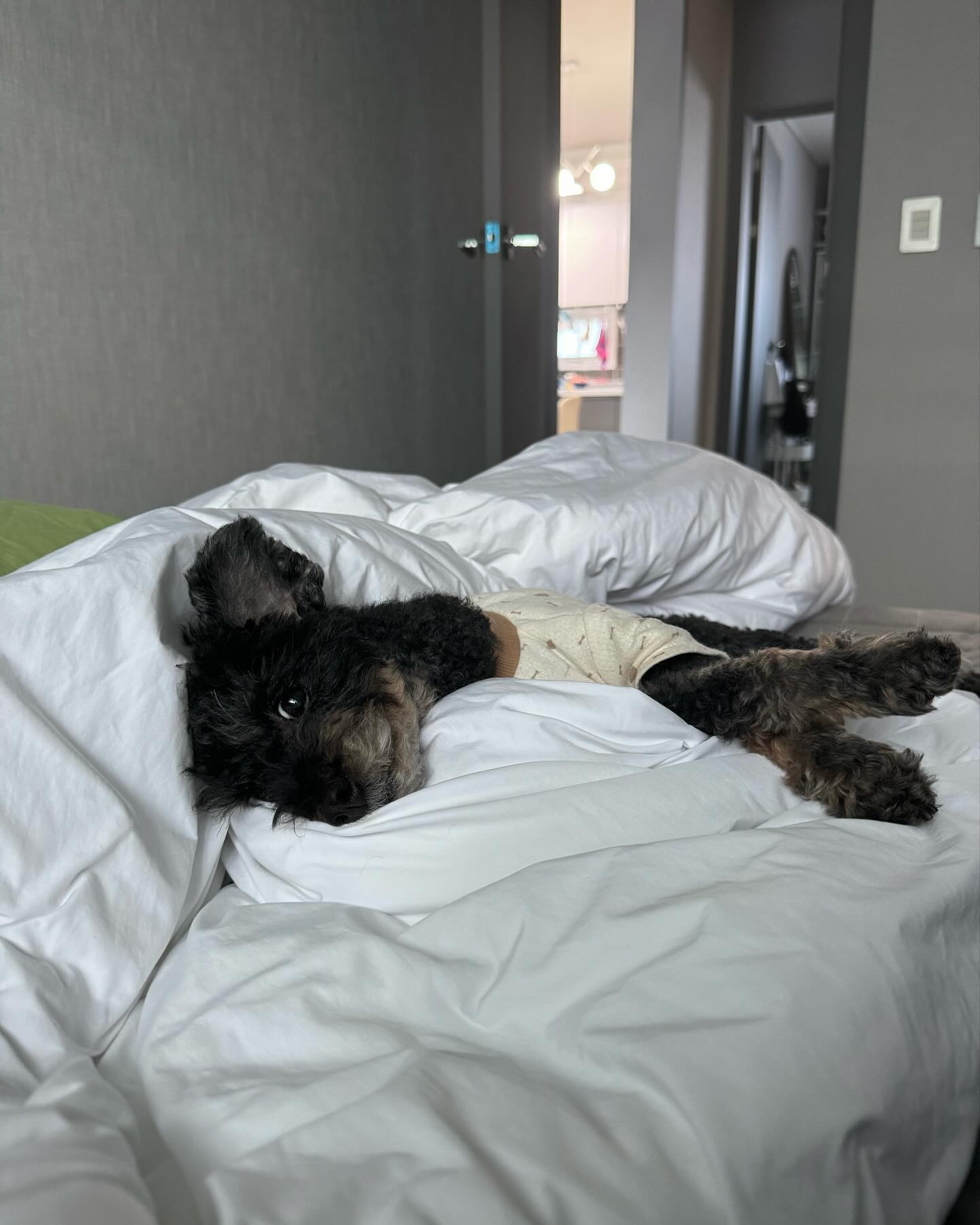 애교쟁이❤️
