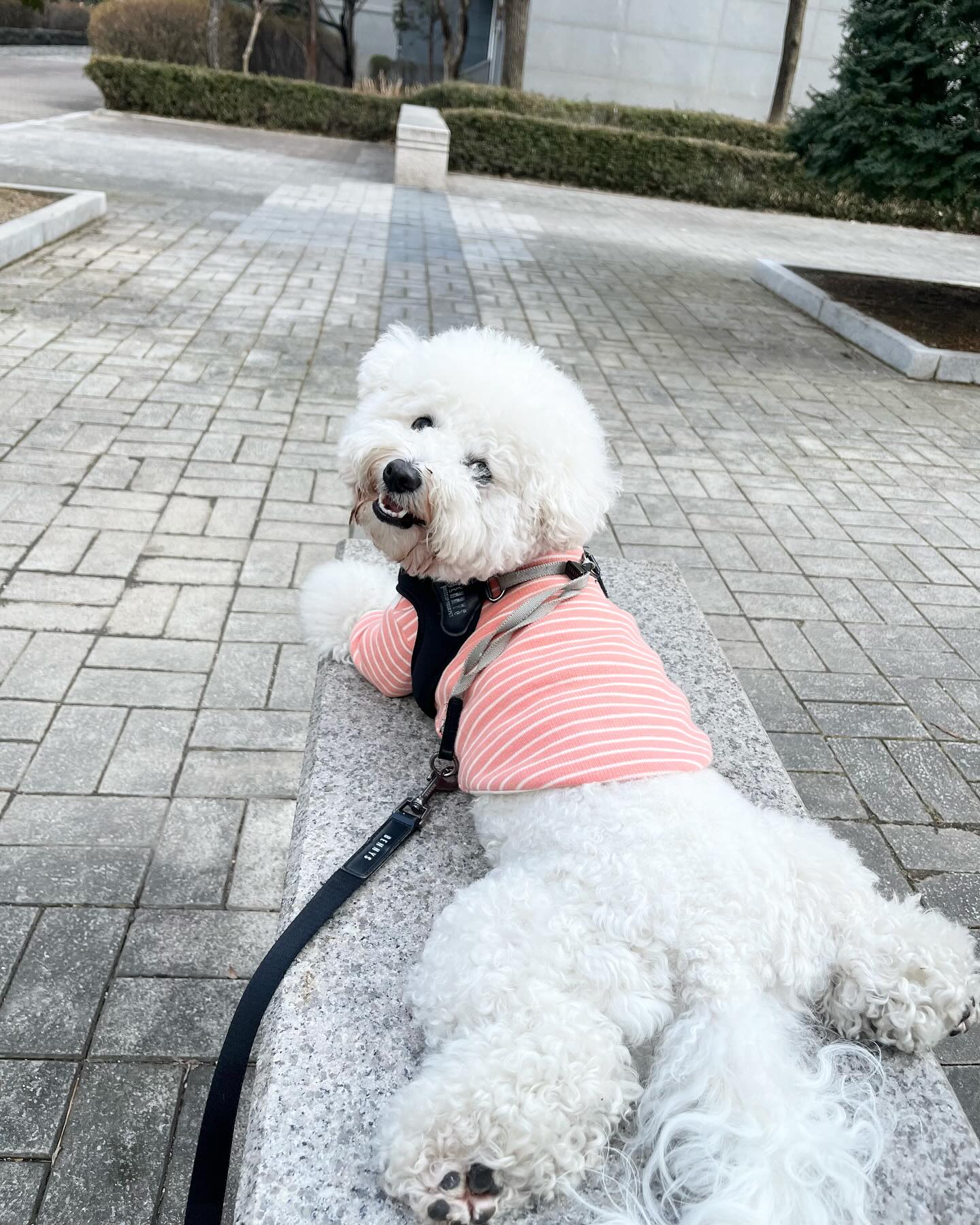 연어초밥룩 🍣