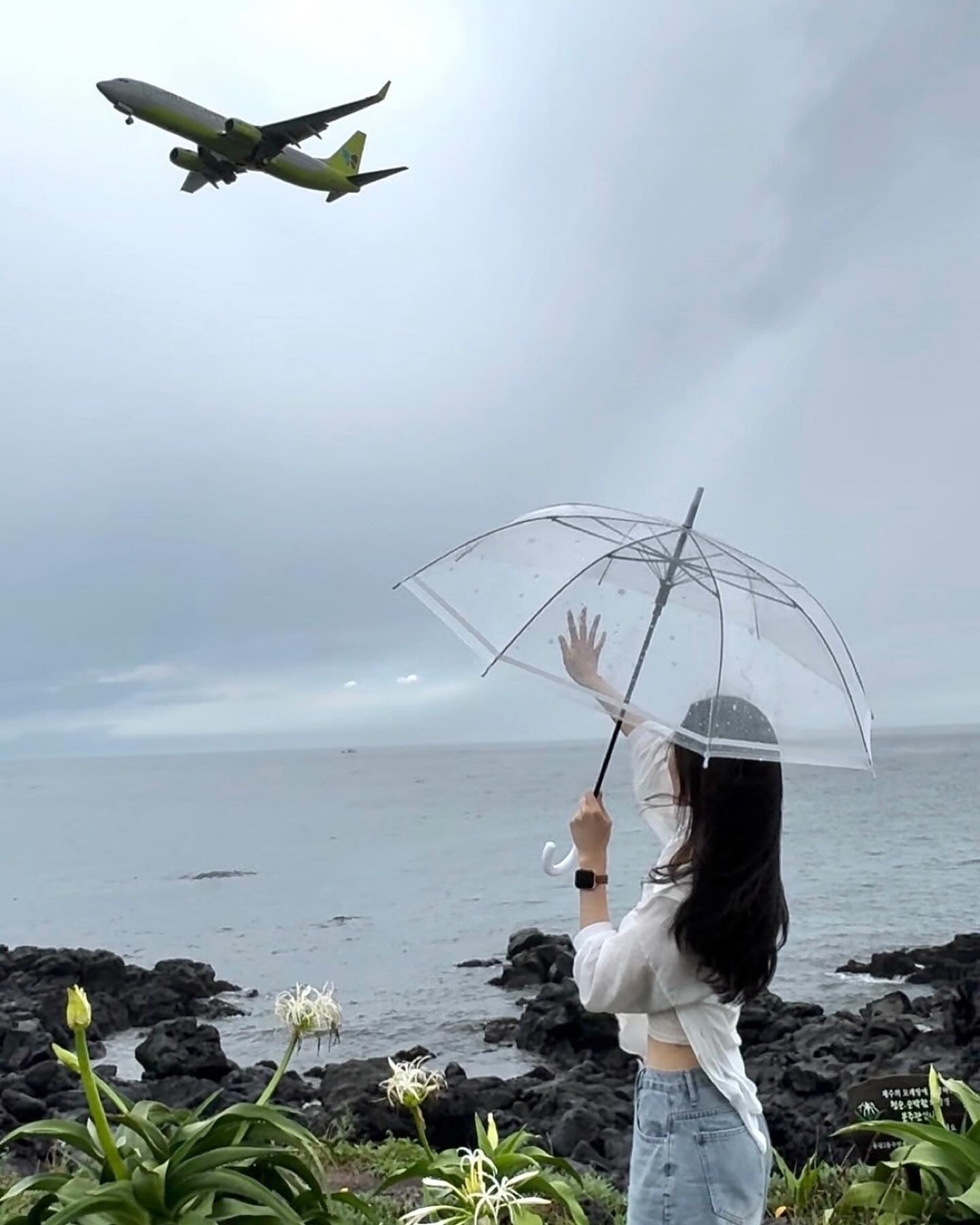 여름 제주 끝☔️ 가을 제주 딱 기다려🍊🍂