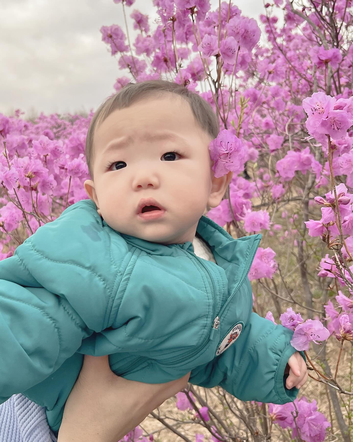 __꼼지 태어난지 322일 ◡̈*
돌잔치 한복 피팅하고
진달래축제 구경 온 꼼지네🌸🪽

아니,, 서율아빠?!ㅋㅋㅋㅋㅋㅋㅋ
진달래 동산에 서율이 꽂을라고 그러는겨..??
웃겨죽겠ㄴㅔ🤪
