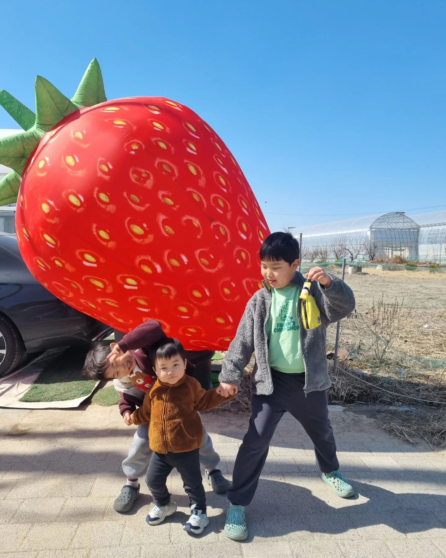 [딸기체험]
인천육아종합지원센터에서 
상반기 우리가족주말농장체험이 있어
신청해서 다녀온 오늘!
이모찬스로 같이 가서
딸기따기체험하기!
1kg 따보고 딸기케이크 만들기까지!
잠깐 쉬는 타임에는
옆에서 아이들 놀 공간도 있어
잠깐이지만 신나게 놀고 왔다.

딸기따는 법도 배우고
동생들 덕에 큰형도 즐거운 시간을 보냈네!

오늘 후식이 풍성하겠구나!!^^

#이모찬스 #이모와함께
#우리가족주말농장체험 
#인천광역시육아종합지원센터
#인천육아종합지원센터 
#딸기체험
#딸기따기
#딸기케이크만들기 #딸기케이크
#딸기의하루
incheon_scc 
strawberry_incheon