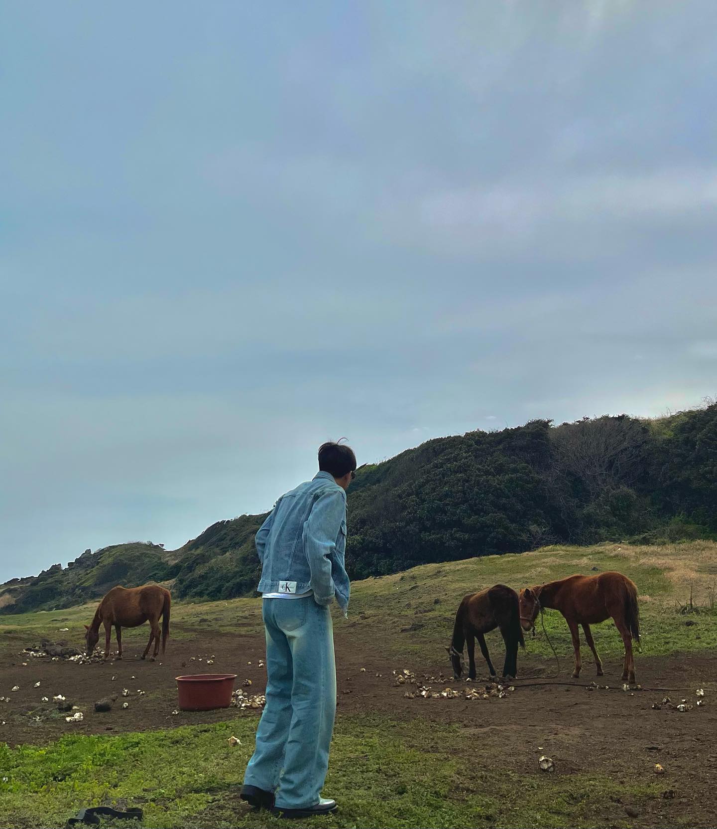 HELLO JEJU