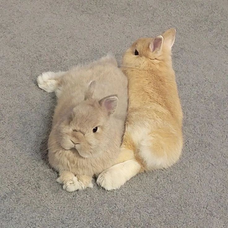 you&me🐰🐰