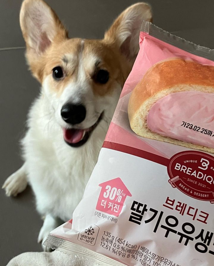 콘텐츠