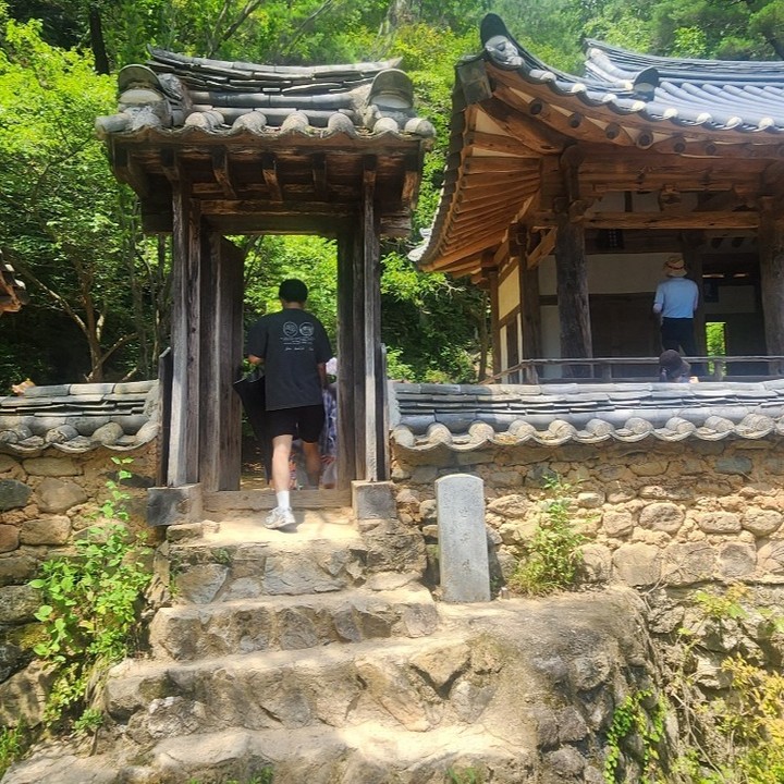 콘텐츠