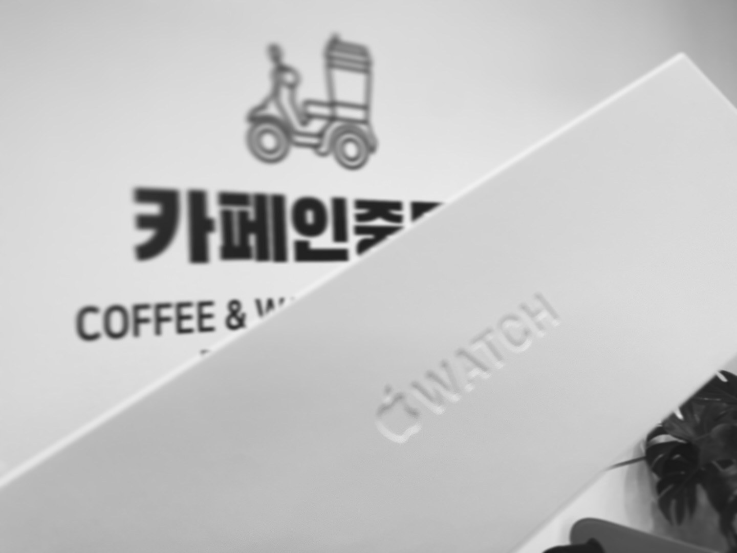 감간사충자입니다💚
오늘까지는 맛베기엿습니다!
내일부터는 더더더더더 충성을 다하겠습니다! 
geonho____kim 🫡🫡🫡🫡🫡🫡🫡

#애지중지 #금쪽이 #카페인중독사장님최고 👍👍