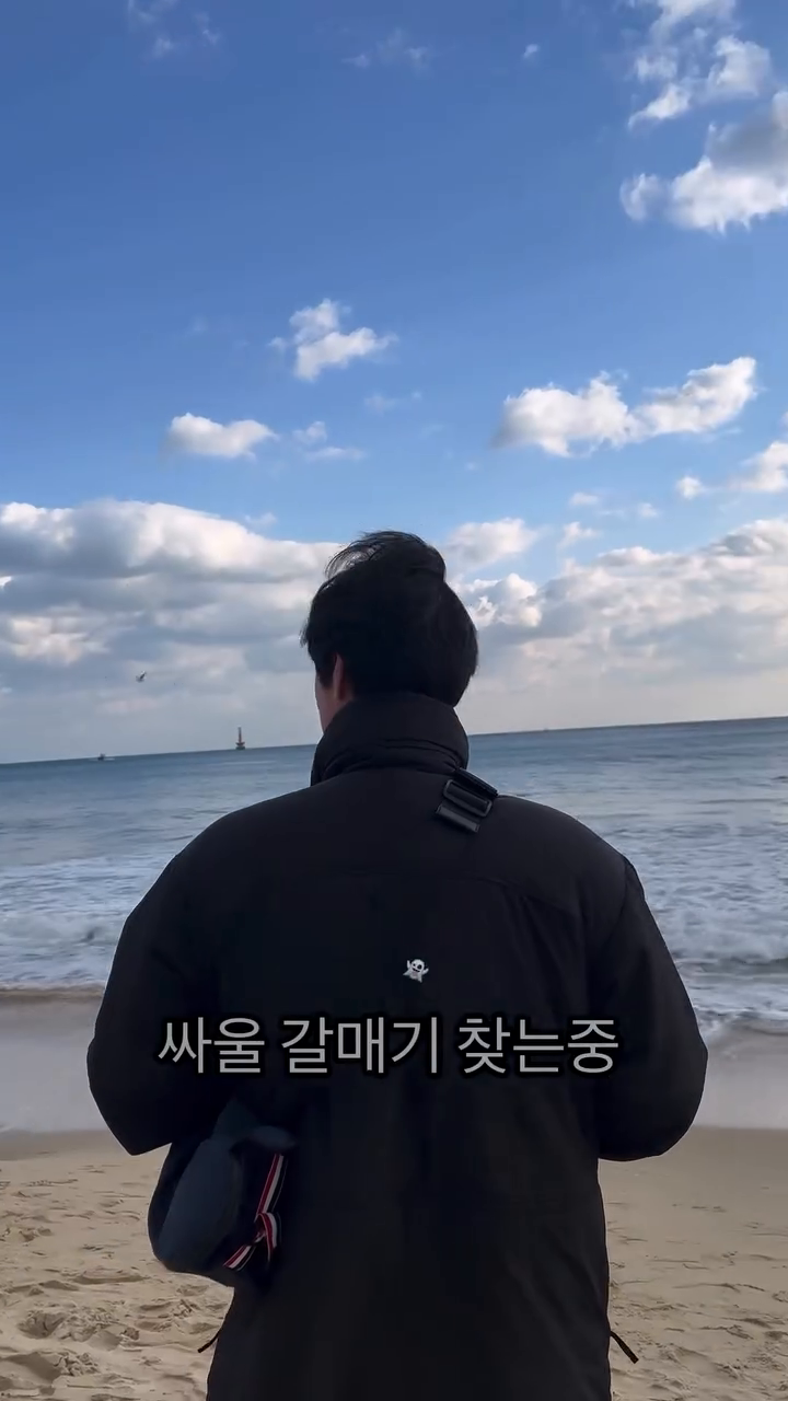 2023년 마지막날 겨울바다를 보러갔다가 생긴일
.
.
.
.
갈매기랑 싸울뻔🤭
.
#부산 #해운대 #바다 #갈매기
#2023 #마지막날 #해피뉴이어