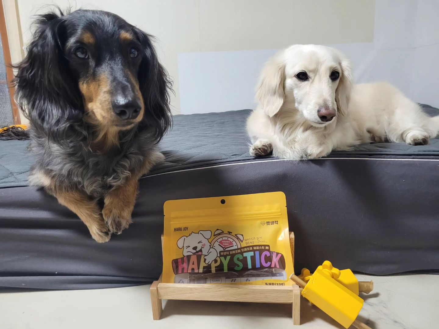 #체험단 #산책단
deartail_official thinkpets_

💛하루조이 해피스틱💛

안녕 친구들 오늘은 펫생각의 하루조이 해피스틱을 소개할게

청정 호주산 100프로 소우신으로 만든 수제간식 으로 지방과 근막을 깨끗하게 제거한 안심할수 있는 간식이라구

고단백 저지방의 영양이 풍부한 오래 먹는 간식

오래 씹으면서 스트레스도 풀고 
몸에도 좋은 간식 추천이라구!

#협찬 #펫생각
#강아지치석 #강아지개껌
#하루조이 #수제간식 #산책단