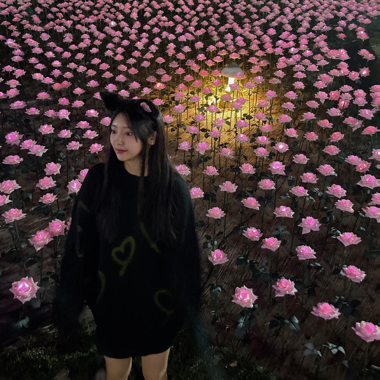 🐈‍⬛+🌷+💛